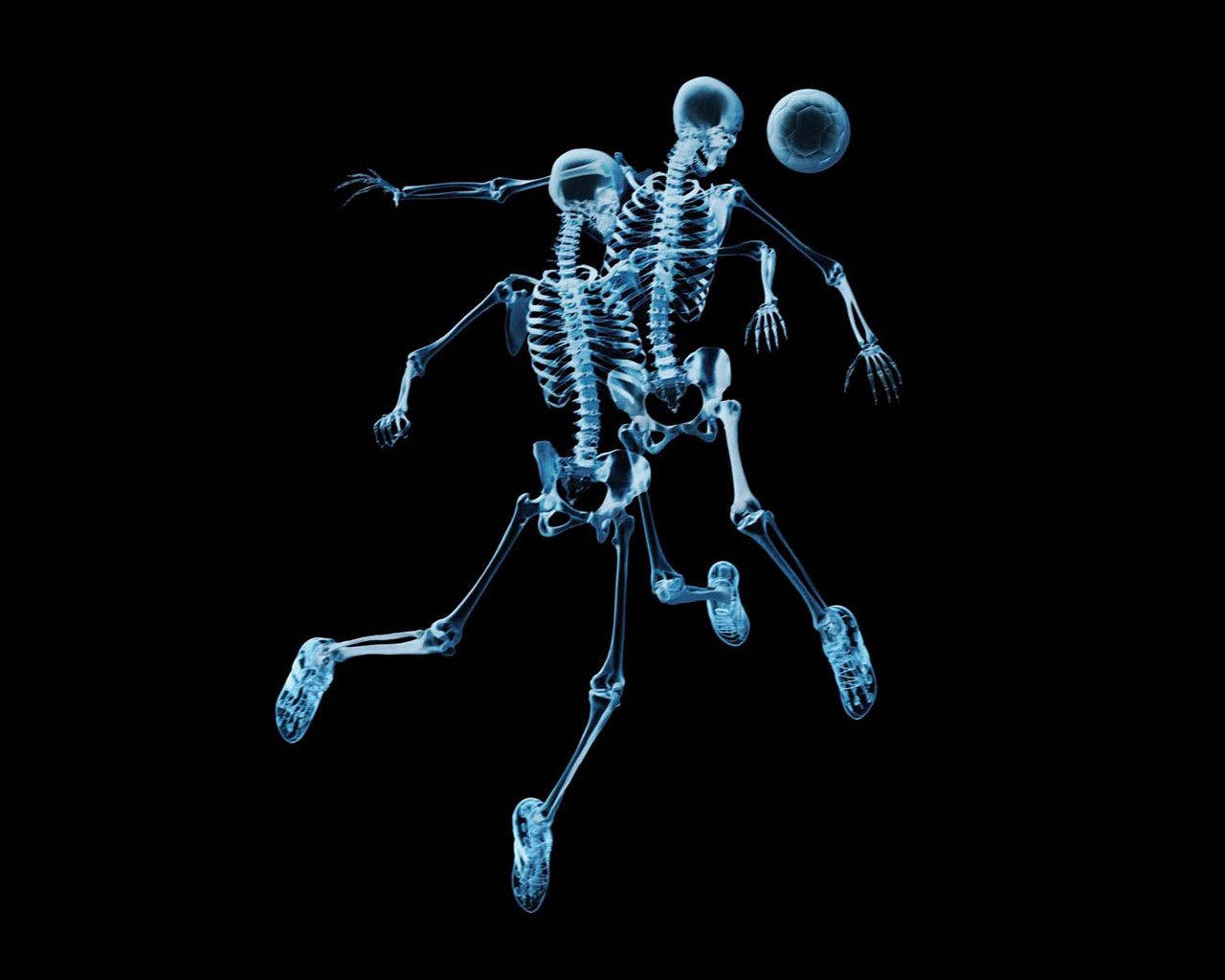 Skeleton HD Wallpaper