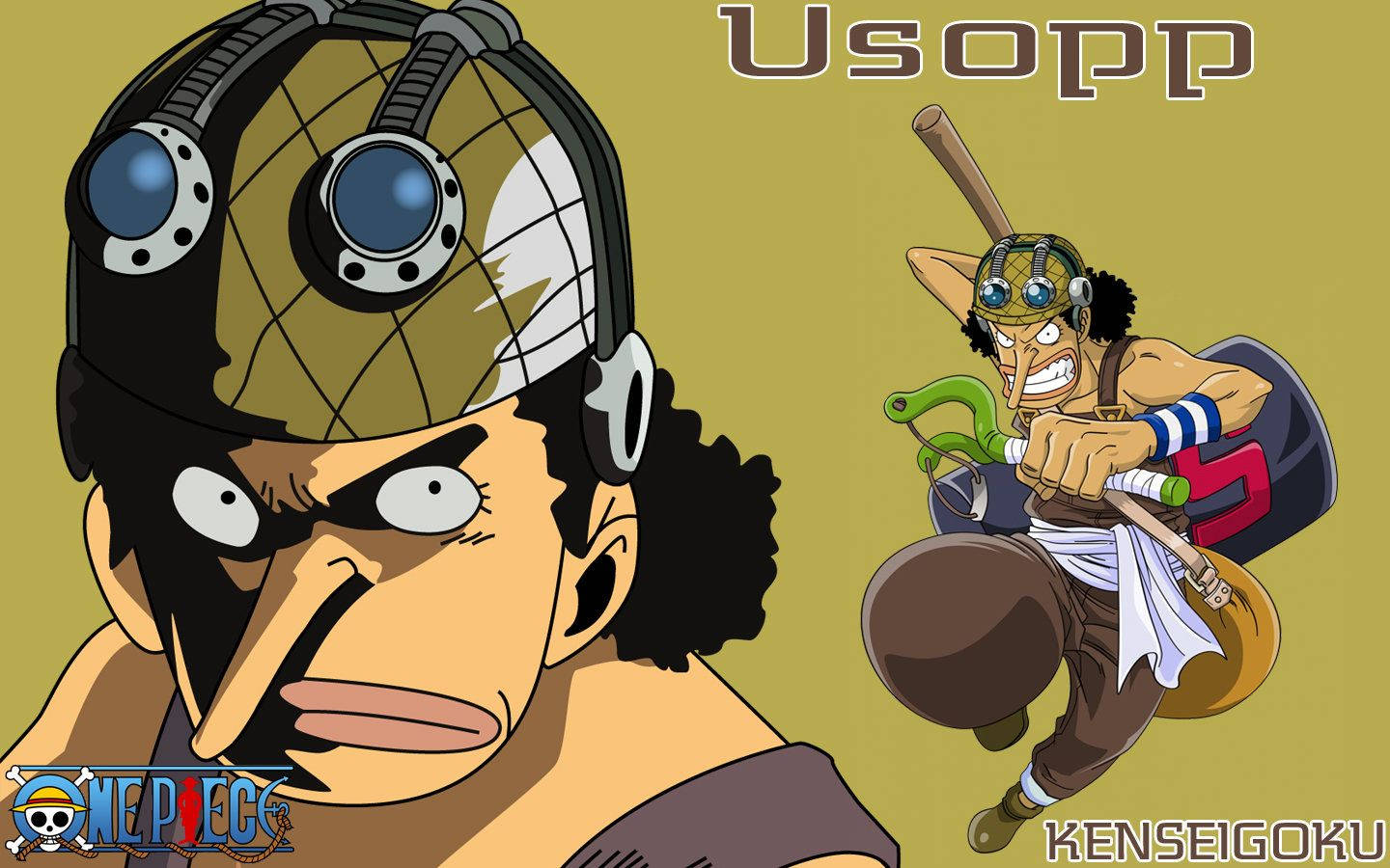 Free One Piece Usopp HD Wallpaper
