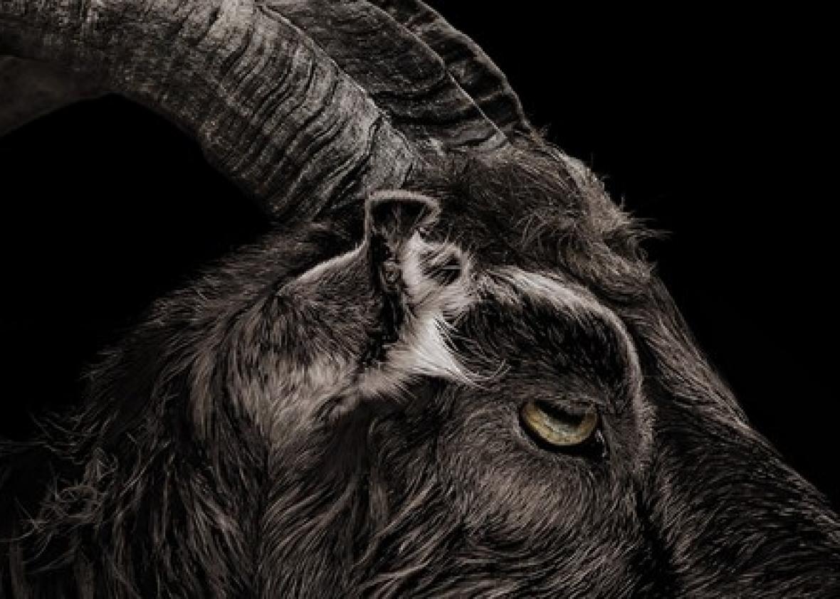Goats and the devil origins: Black