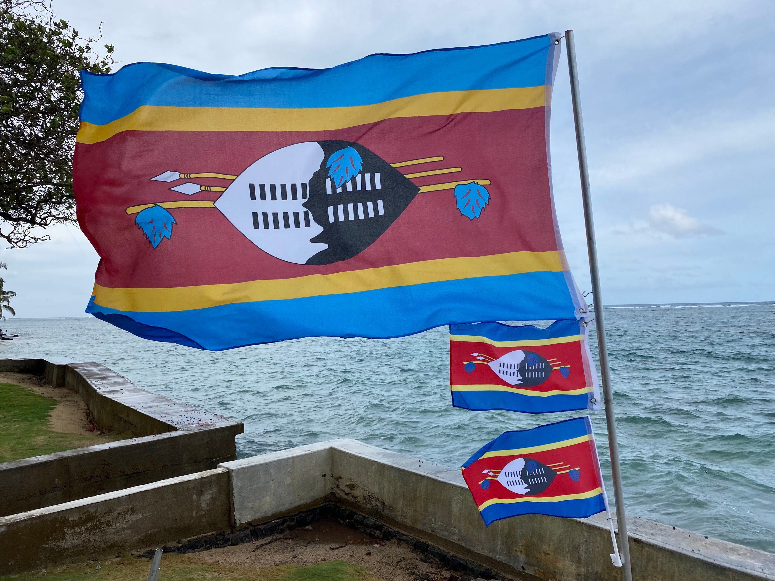 Swaziland Flag