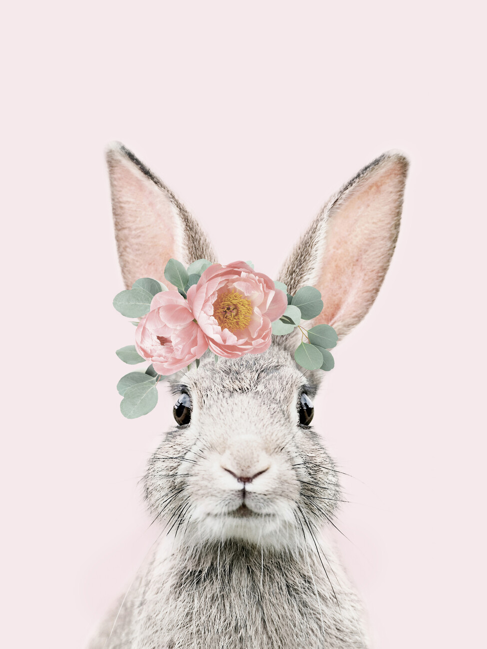 Flower crown bunny pink Wall Mural