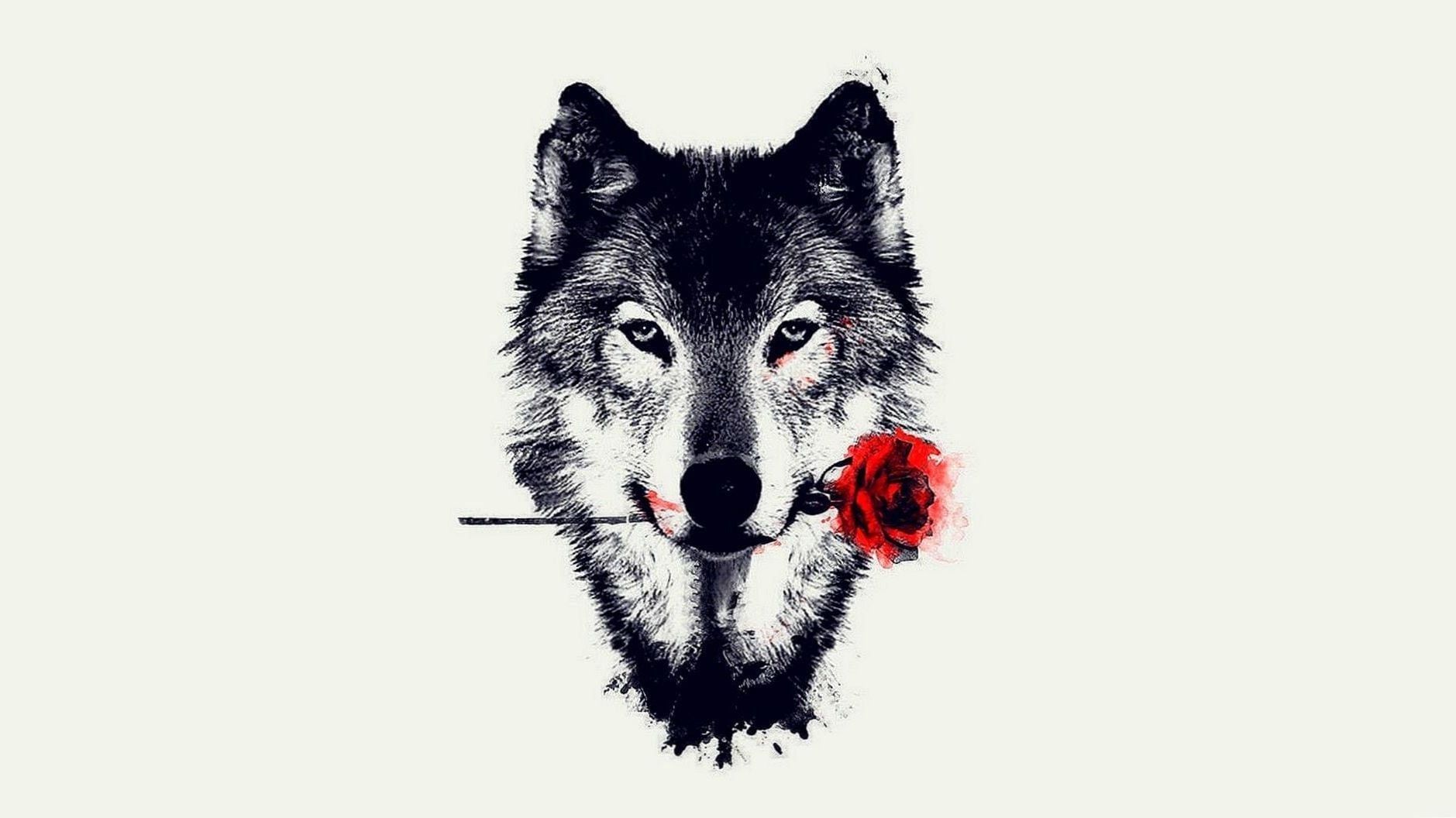 Wolves Wallpaper For Laptop. Wolf