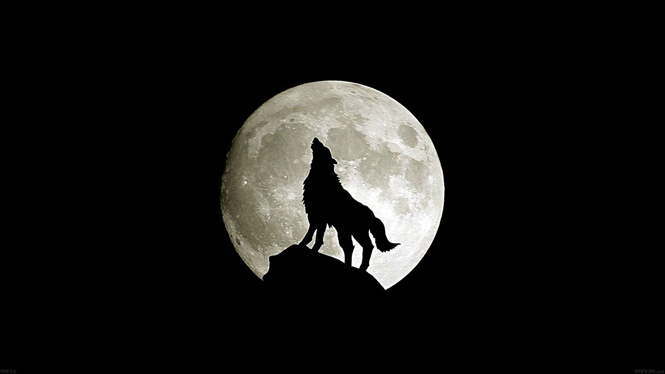 Wolf Howl Animal Dark Minimal Nature