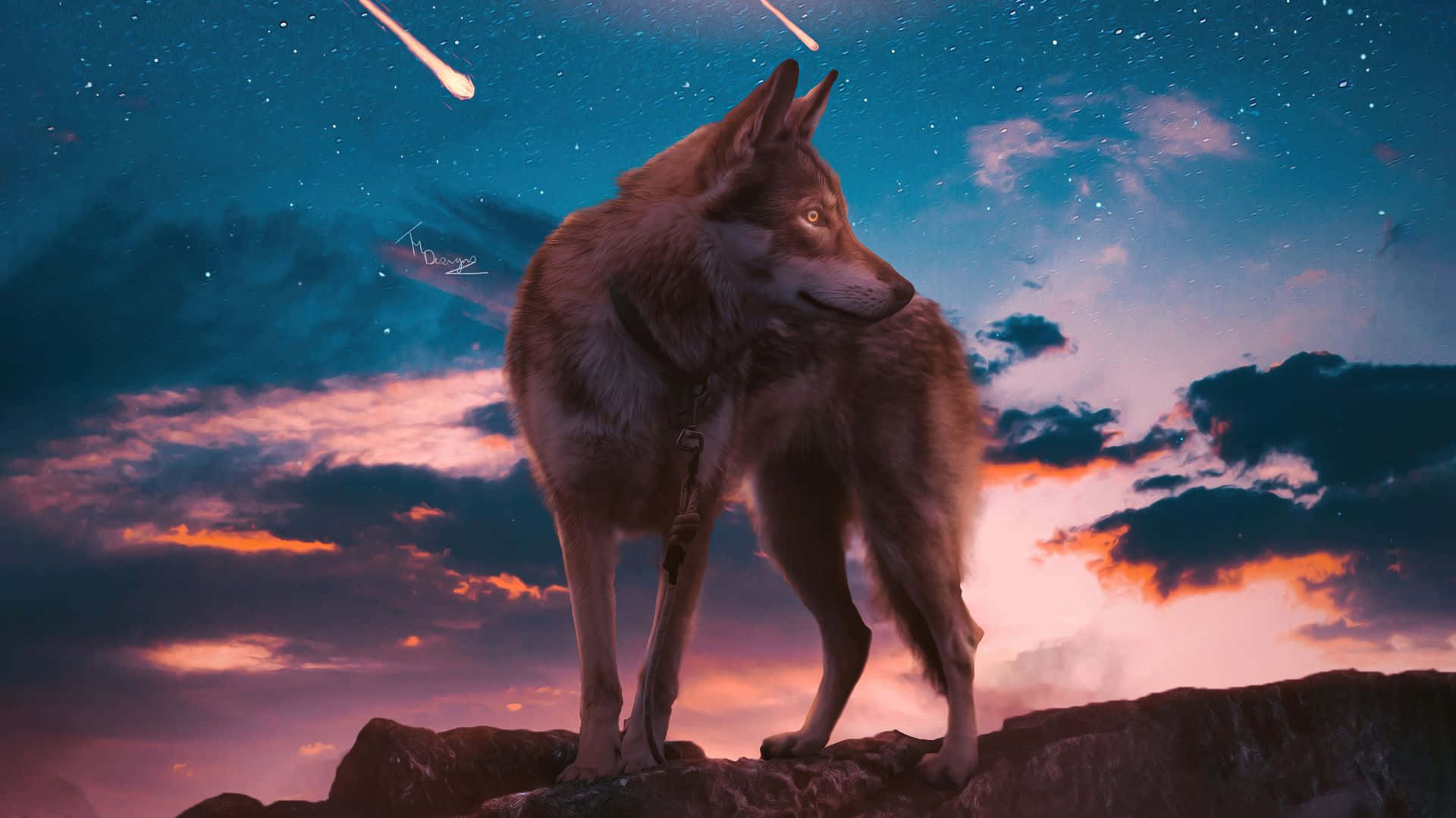 Wolf Aesthetic Wallpaper