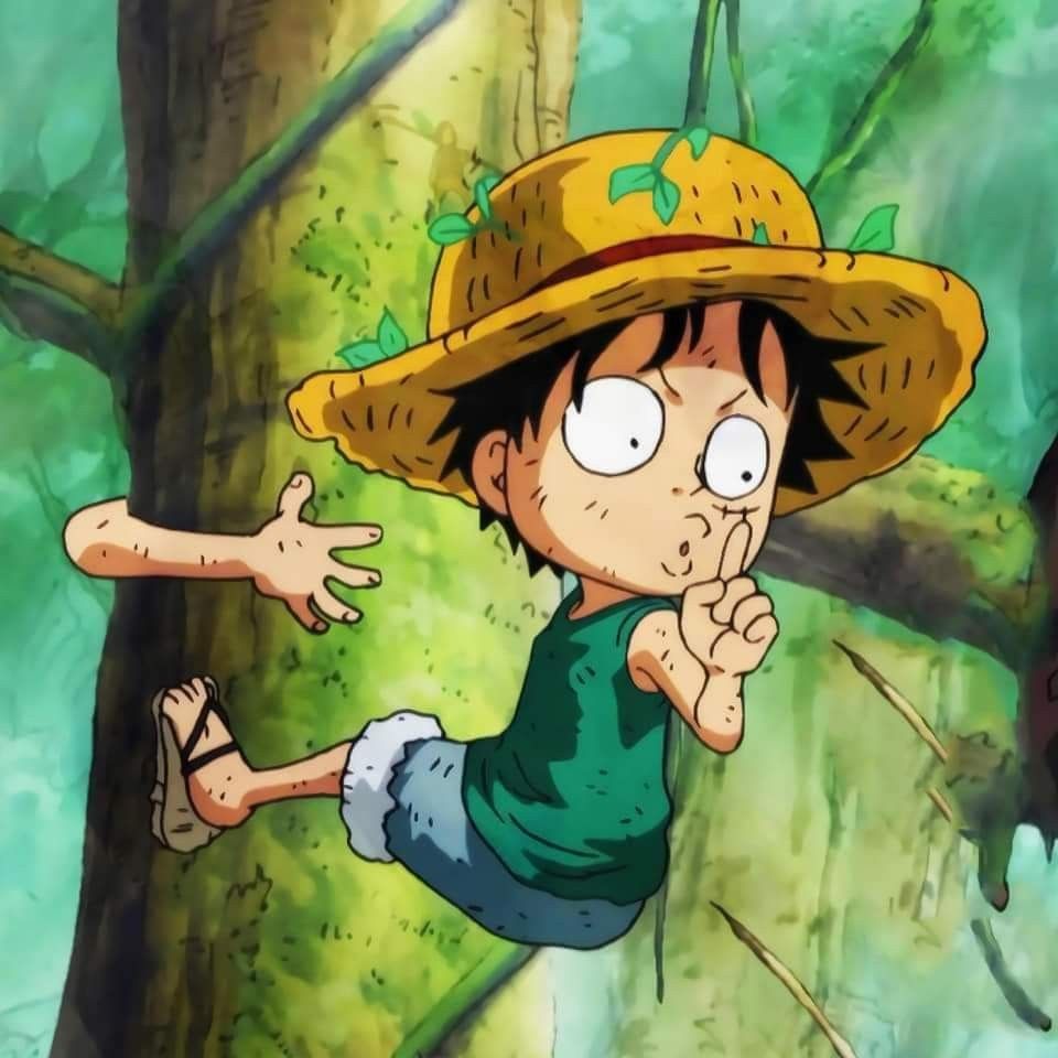 Luffy HD Wallpaper. Manga anime one