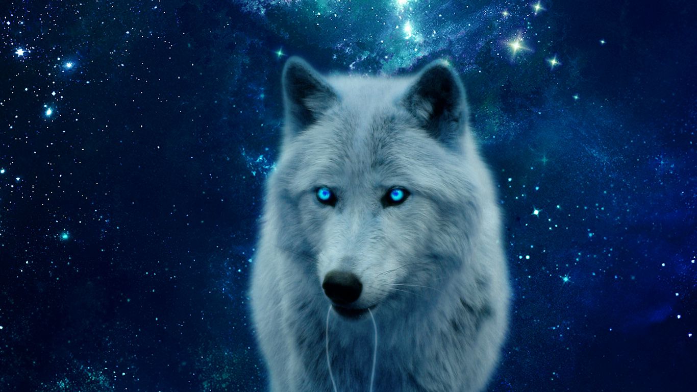 Download wallpaper 1366x768 wolf, hill