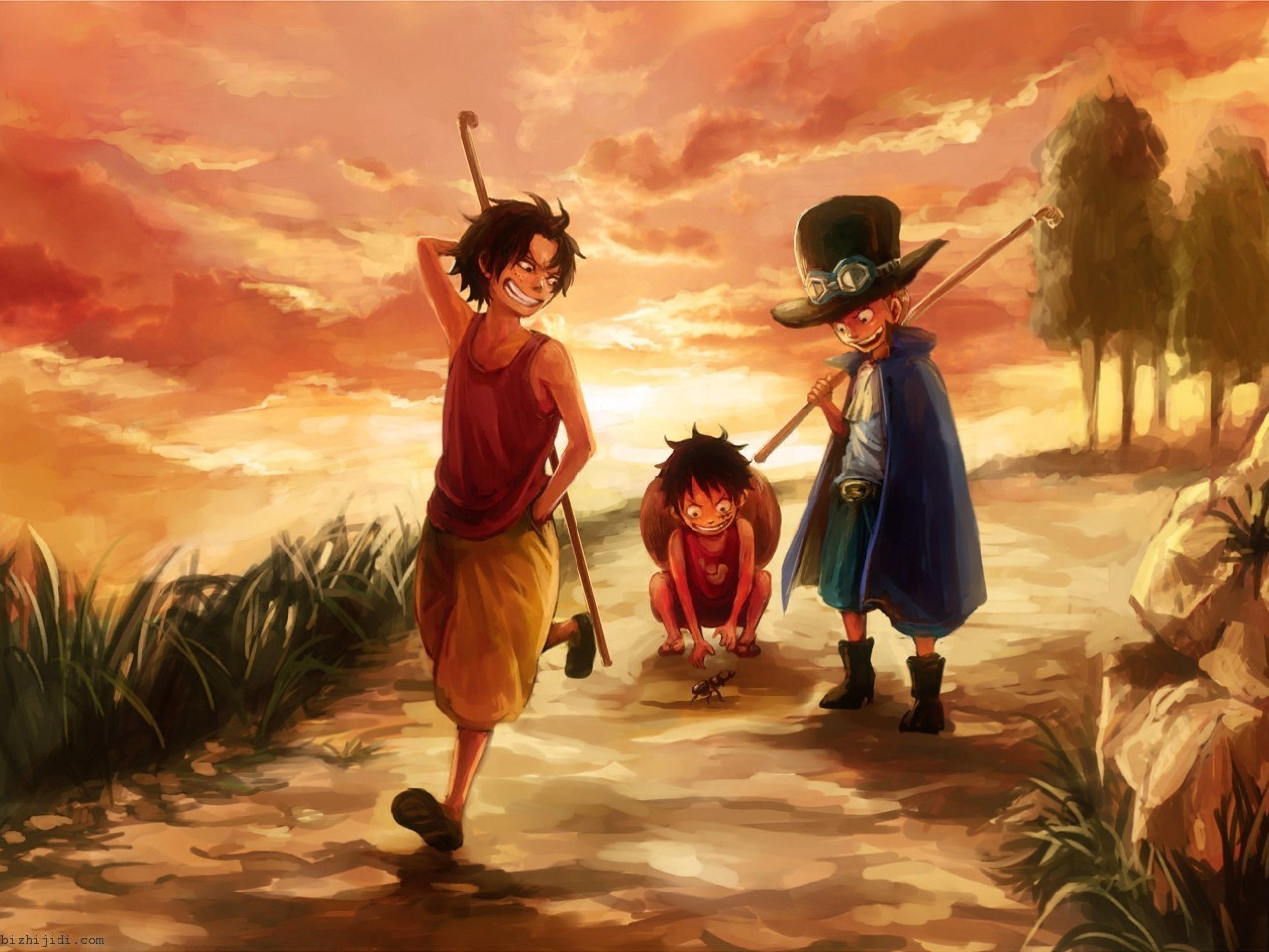 childhood. Ace, Sabo, Luffy