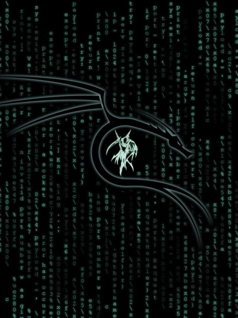 Download Kali Linux wallpaper