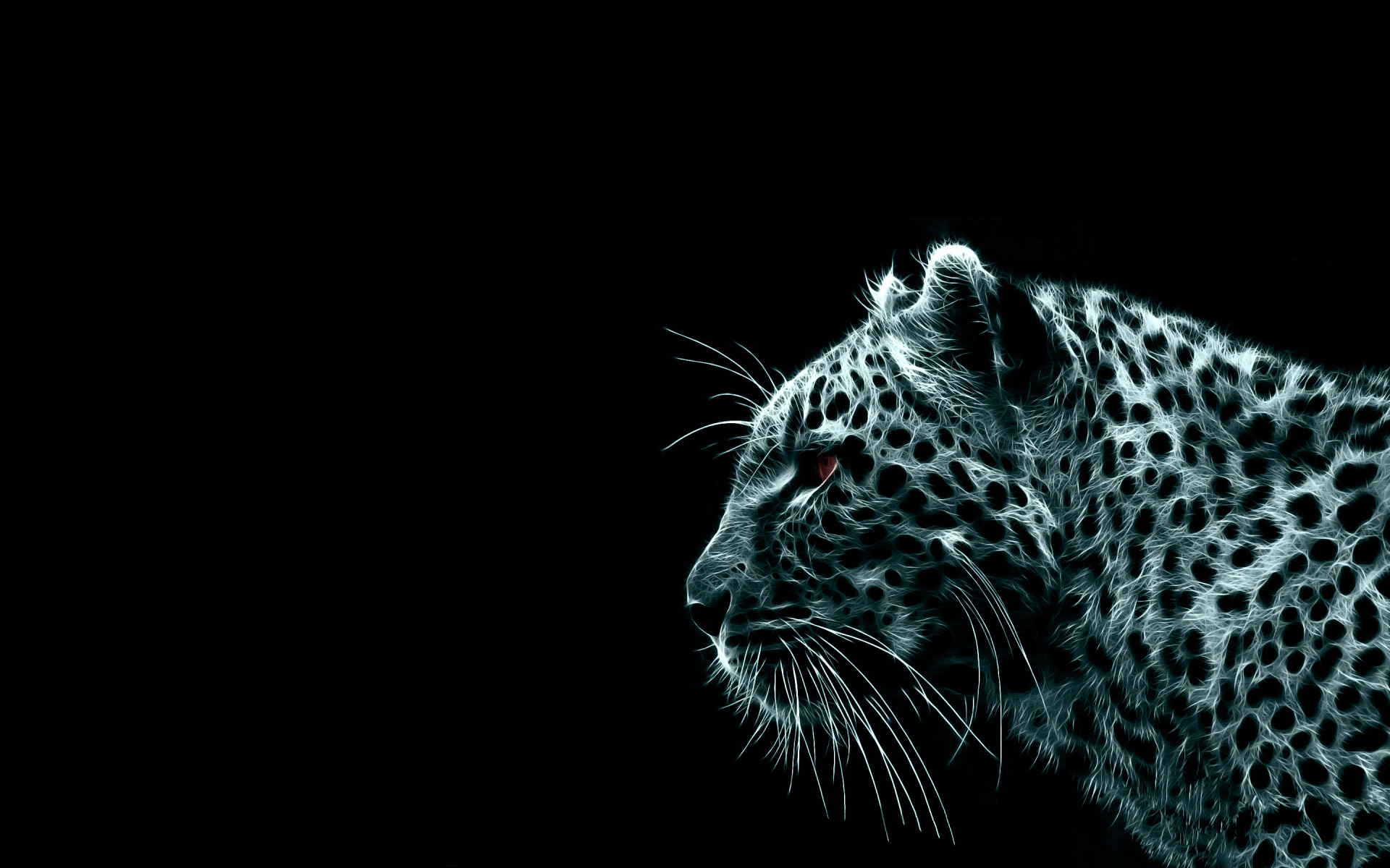 Leopard Wallpaper