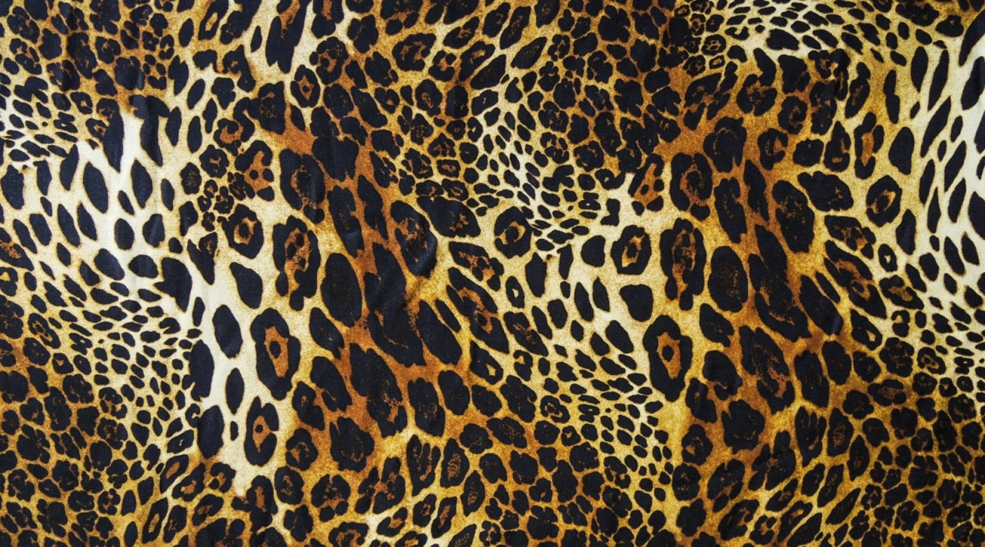 Leopard Print Wallpaper