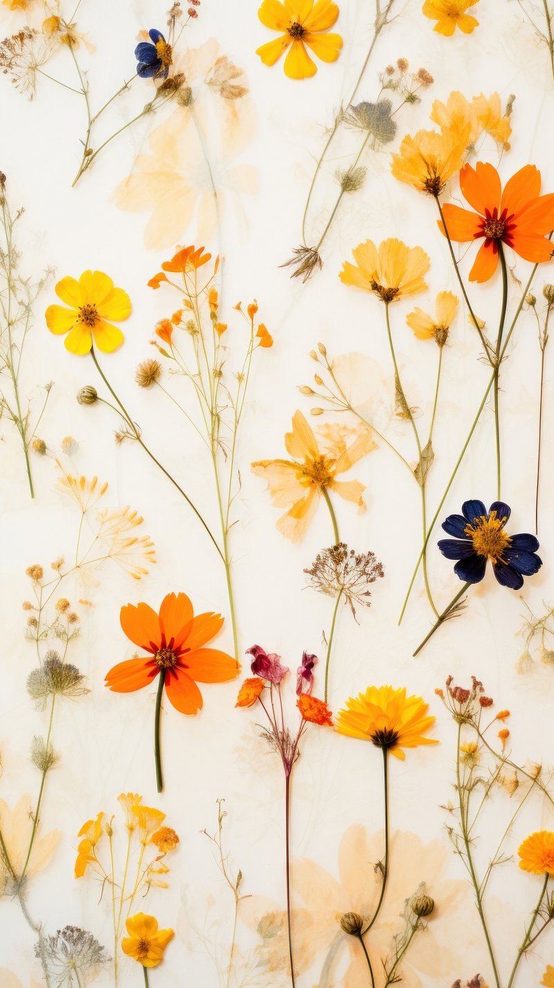Real pressed summer flowers background