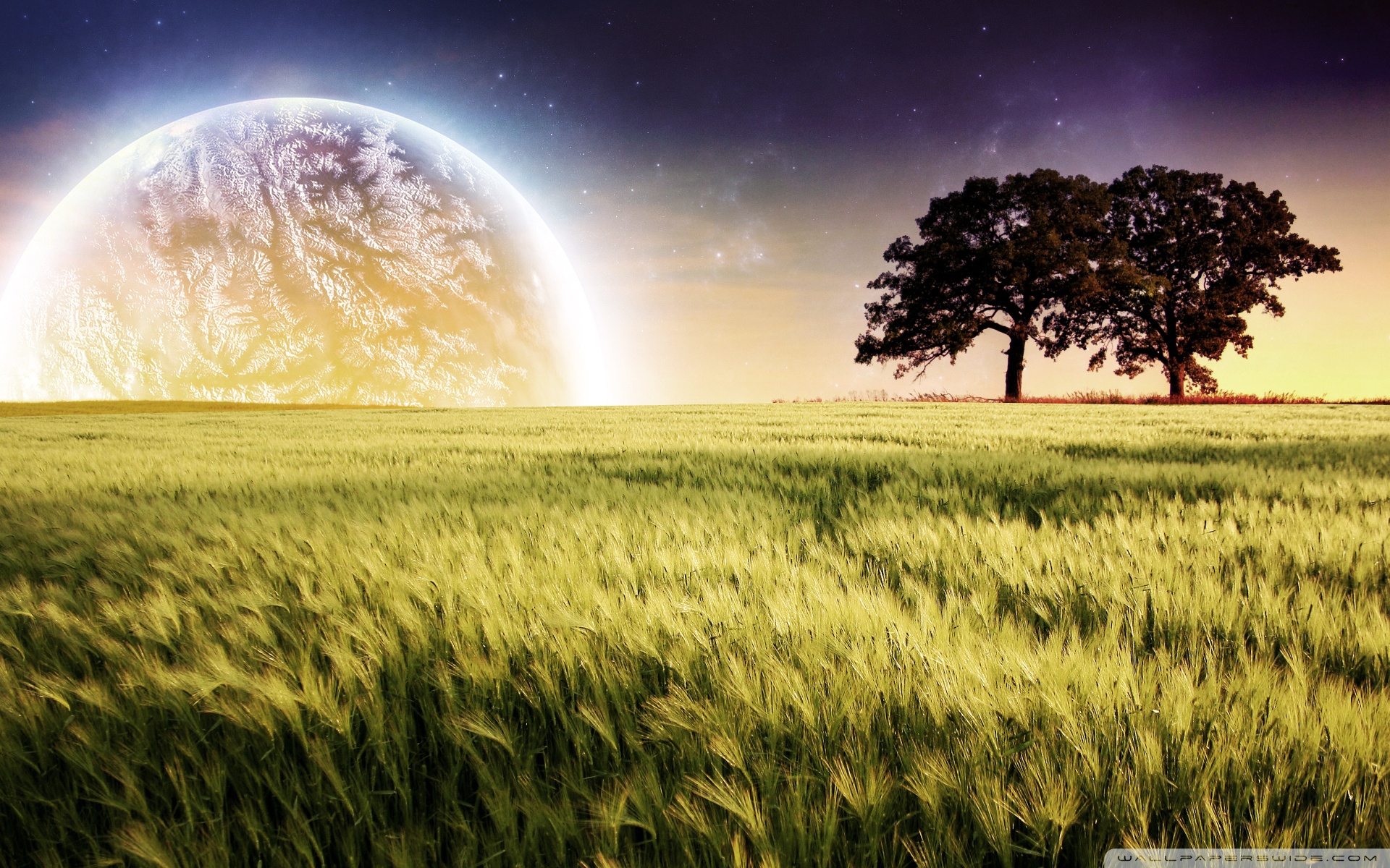 Ultra HD Desktop Background Wallpaper