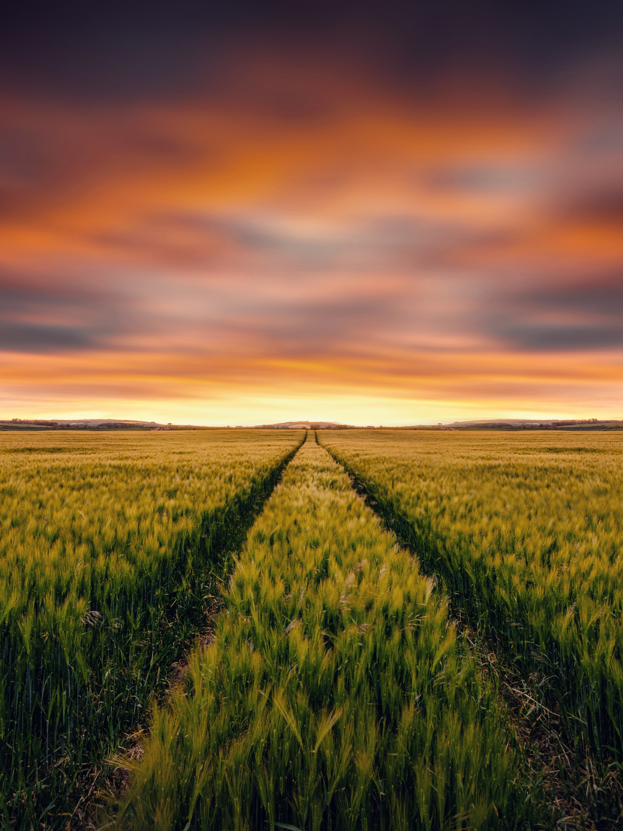 Nature, Sunset, Summer, Wheat, Earth