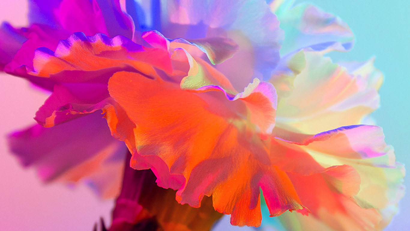 Art Spring Flower Rainbow Red