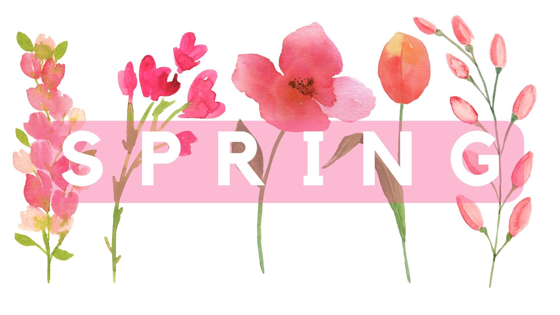 Pink Floral Spring Desktop Background
