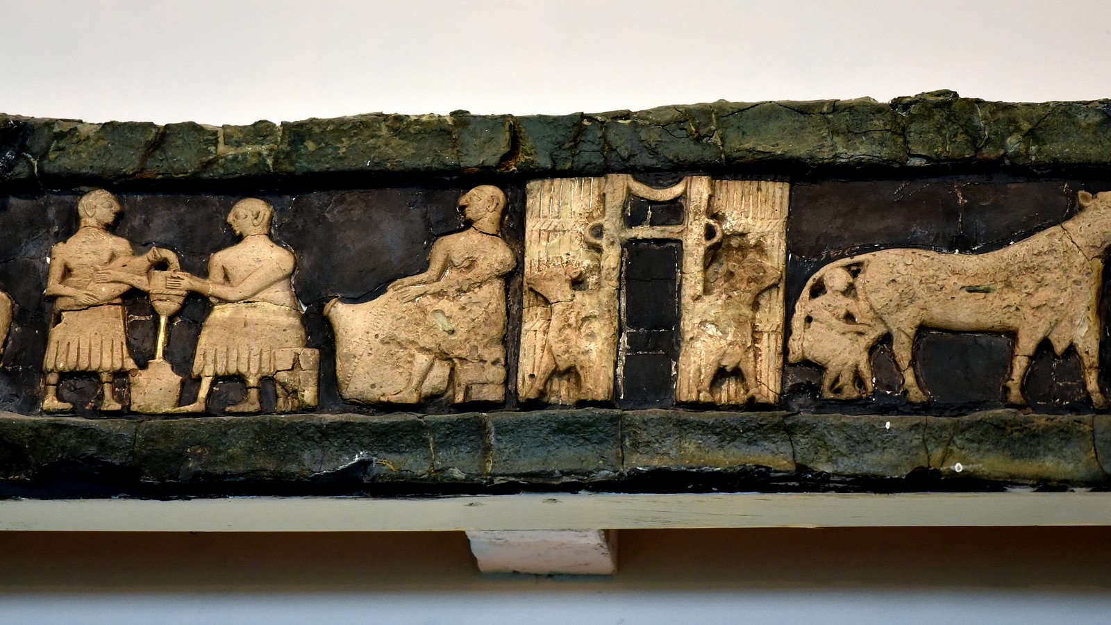 Life in Mesopotamia Collection