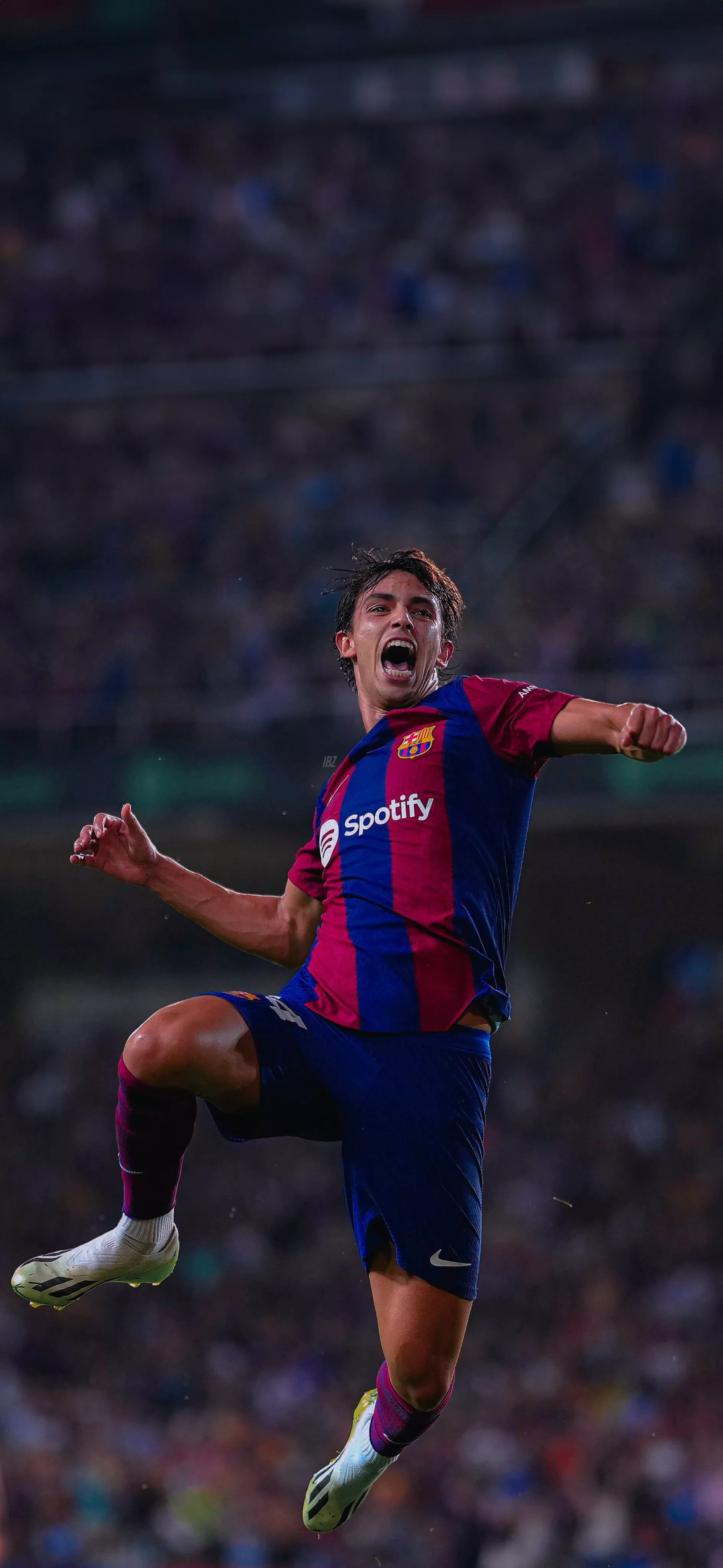 بزبلو. #Wallpaper └