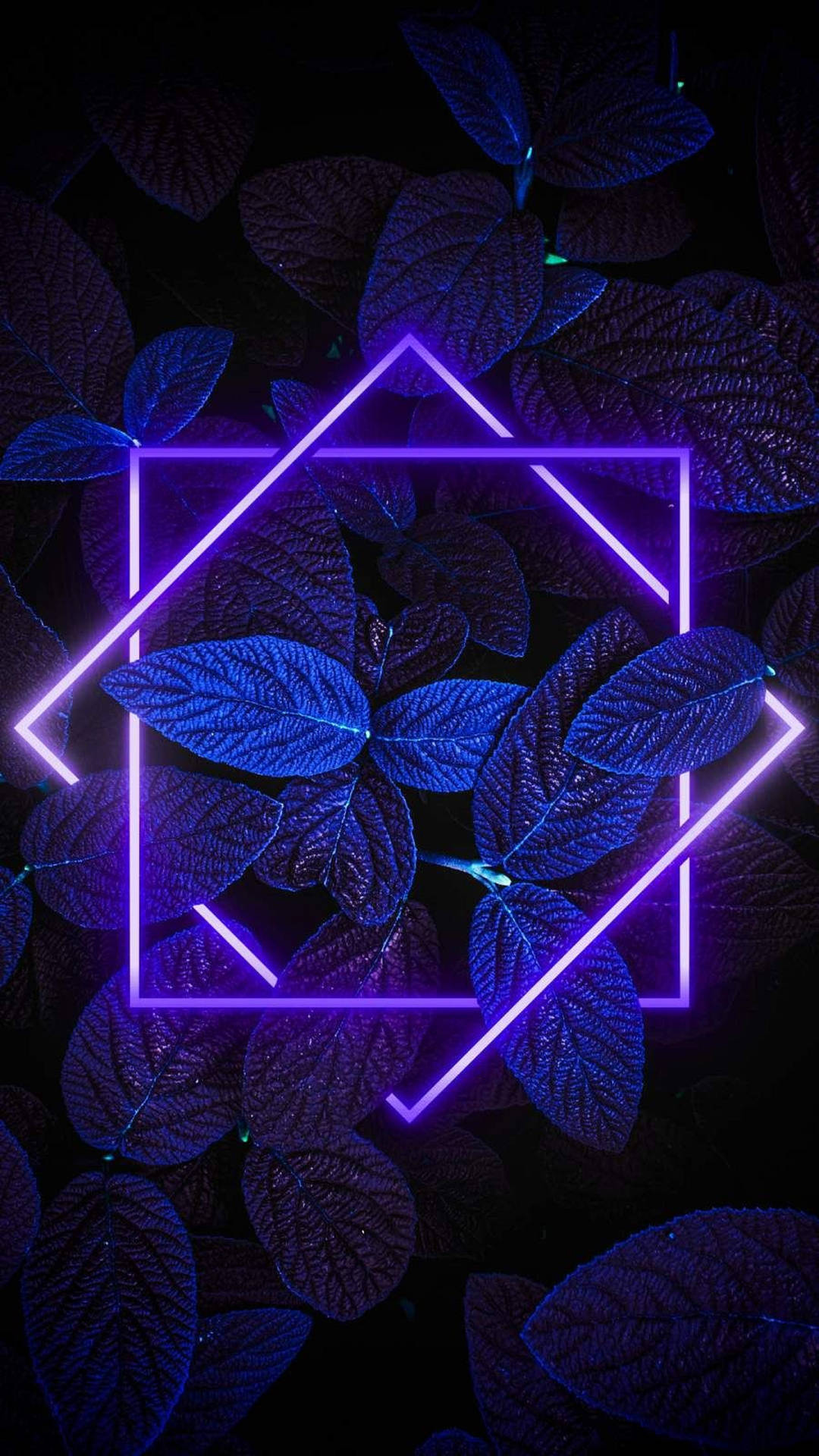 4k Neon iPhone Wallpaper