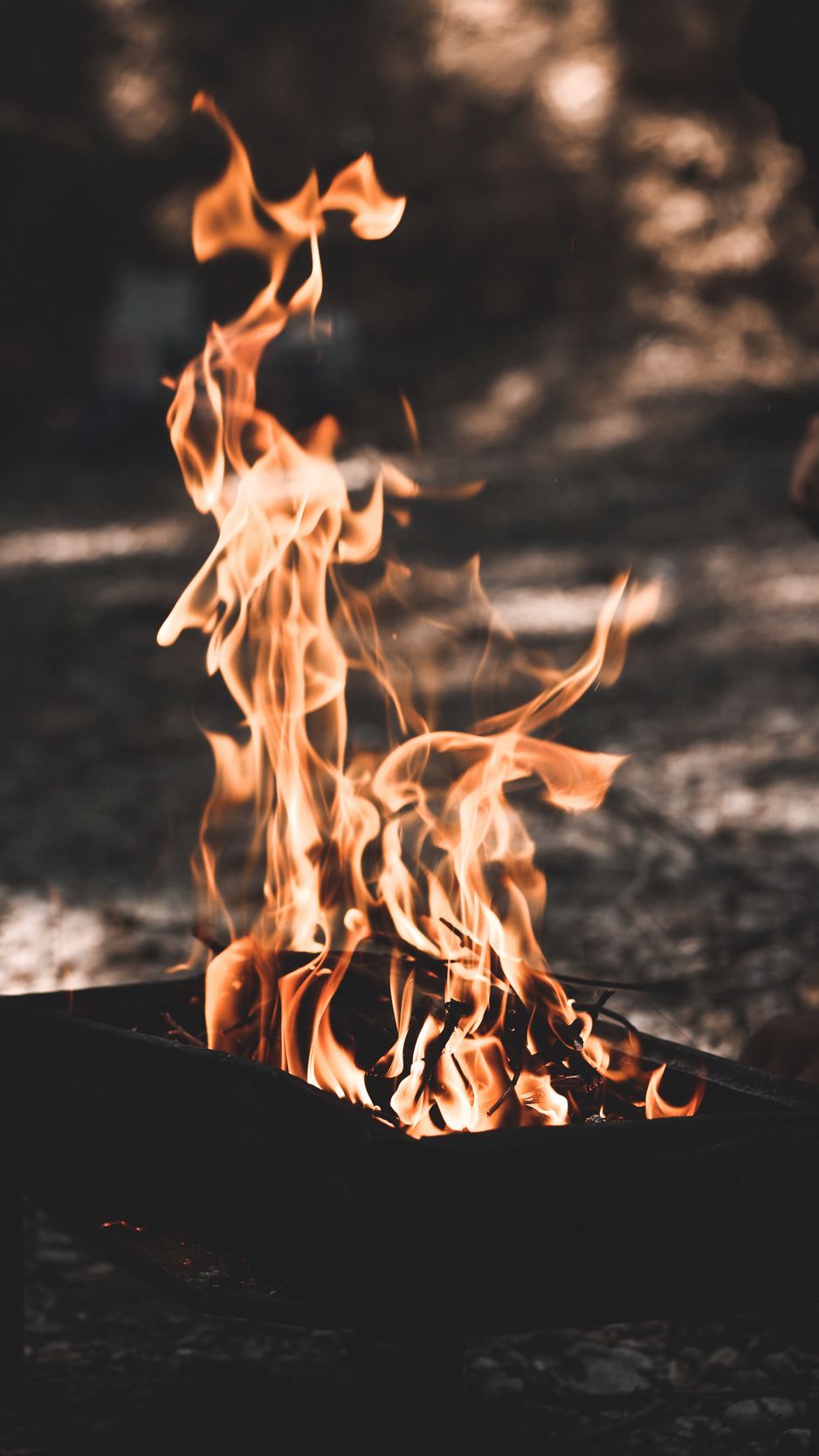Download wallpaper 938x1668 bonfire