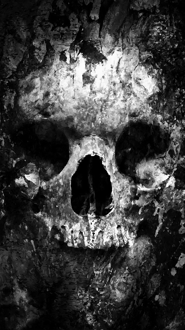 Skull Face Ark Paint Illustration