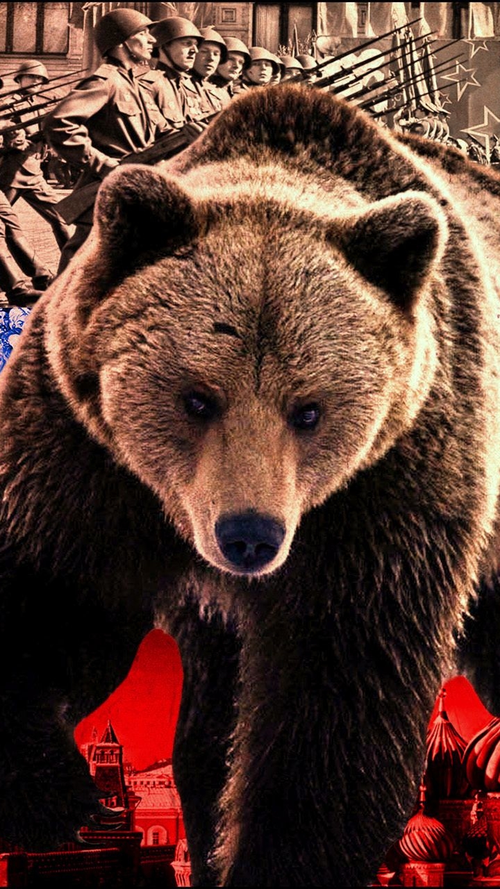 Download Flag Of Russia wallpaper