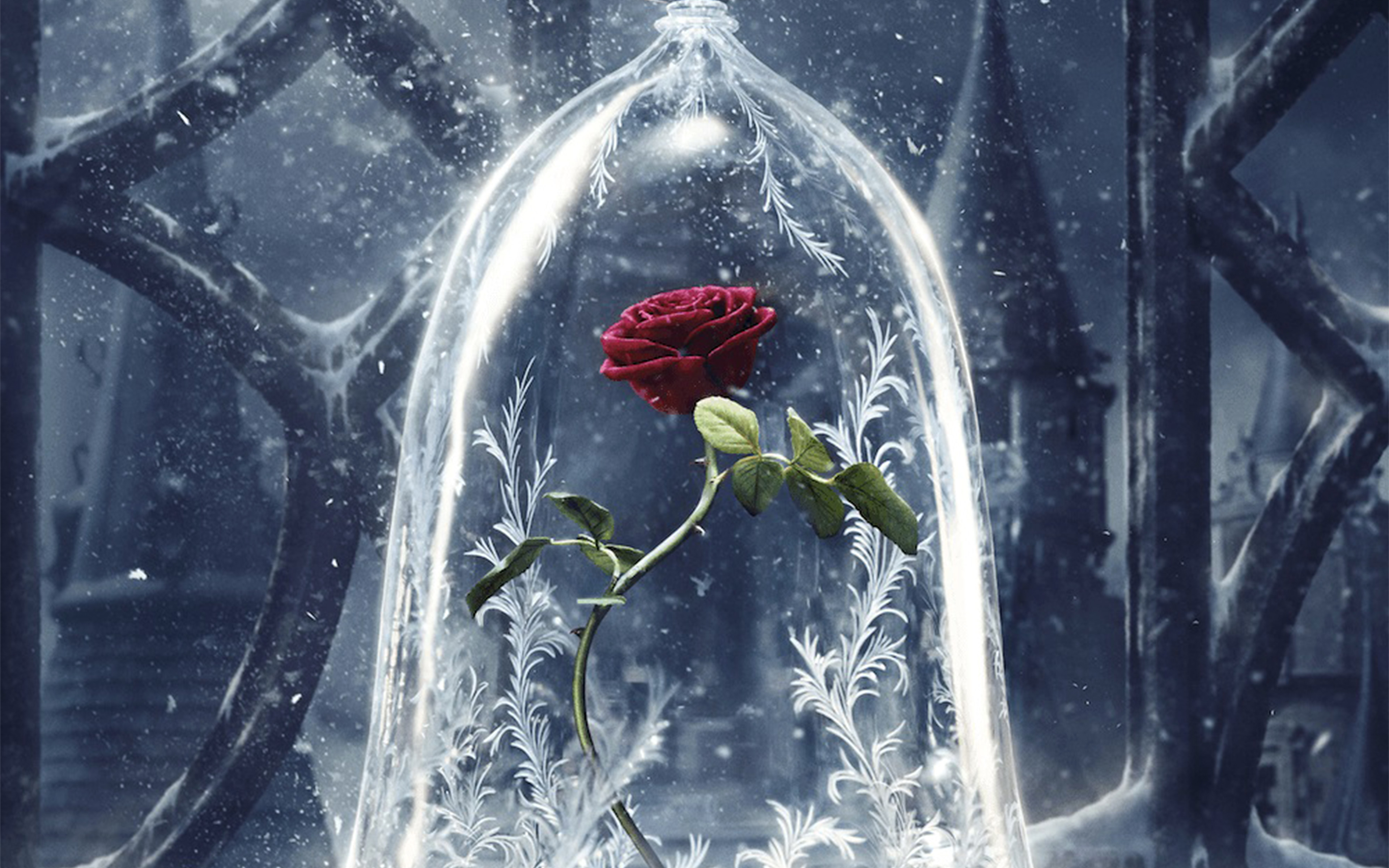 Disney Beauty Beast Art Illustration