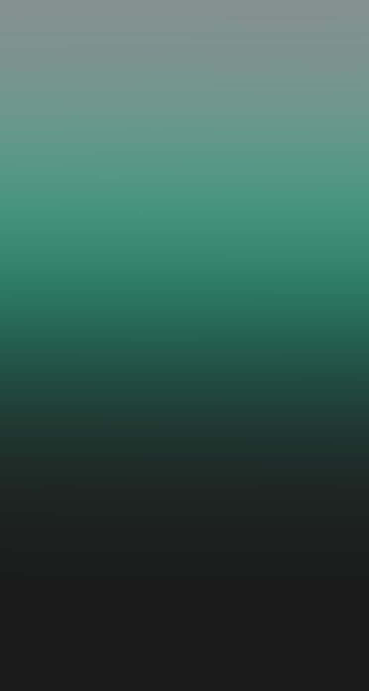 Dark Green iPhone Wallpaper