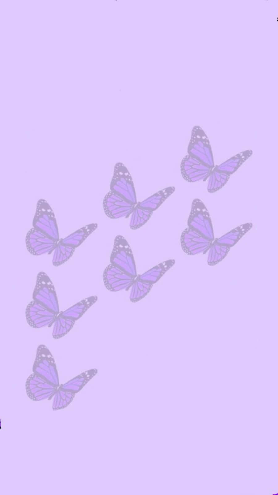 Cute Light Purple Butterflies Wallpaper