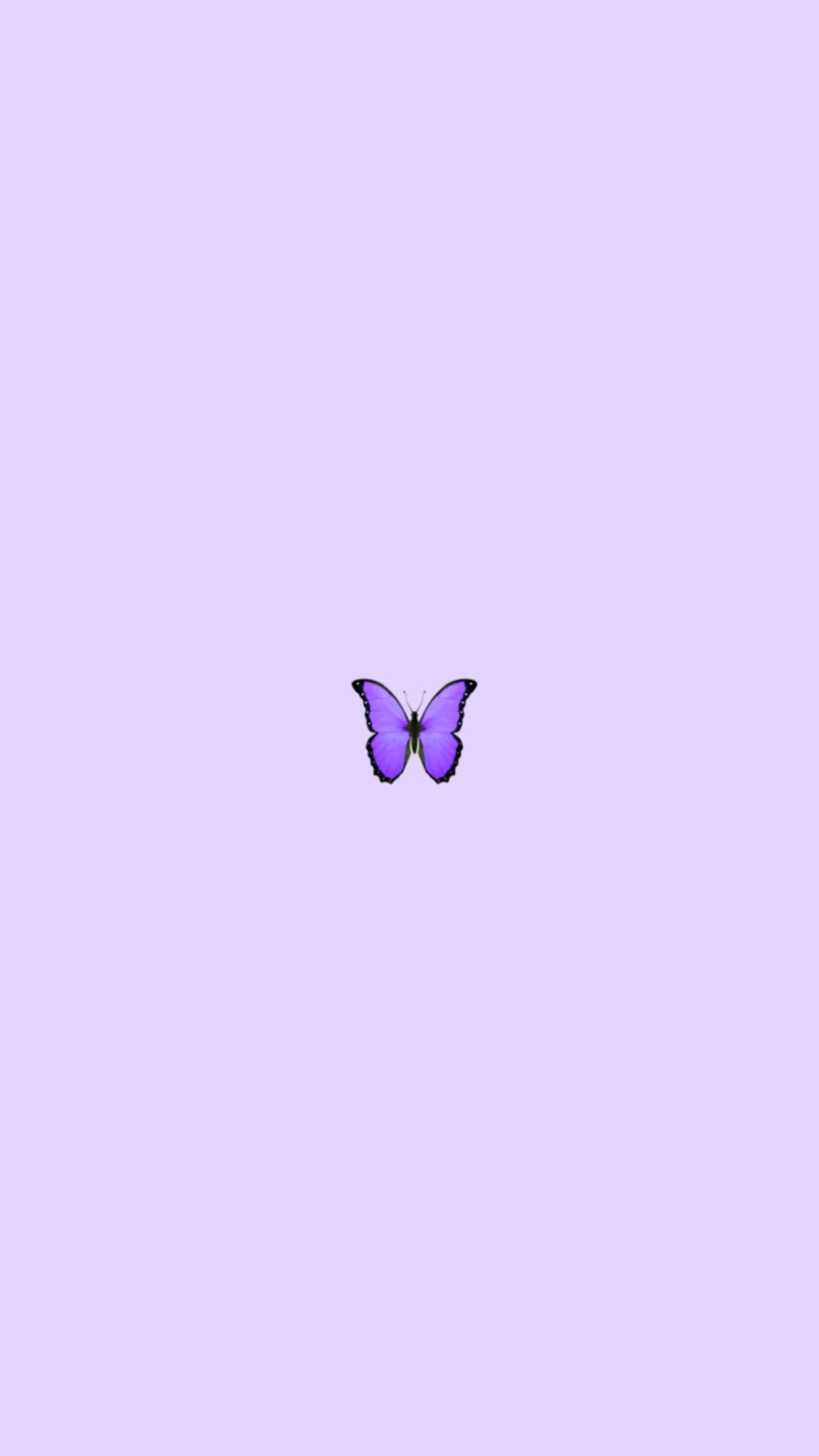 Purple Butterfly Phone Wallpaper