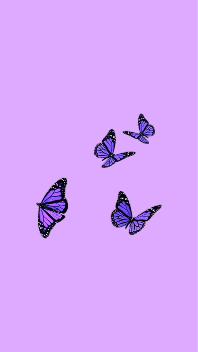 purple butterfly wallpaper in 2021