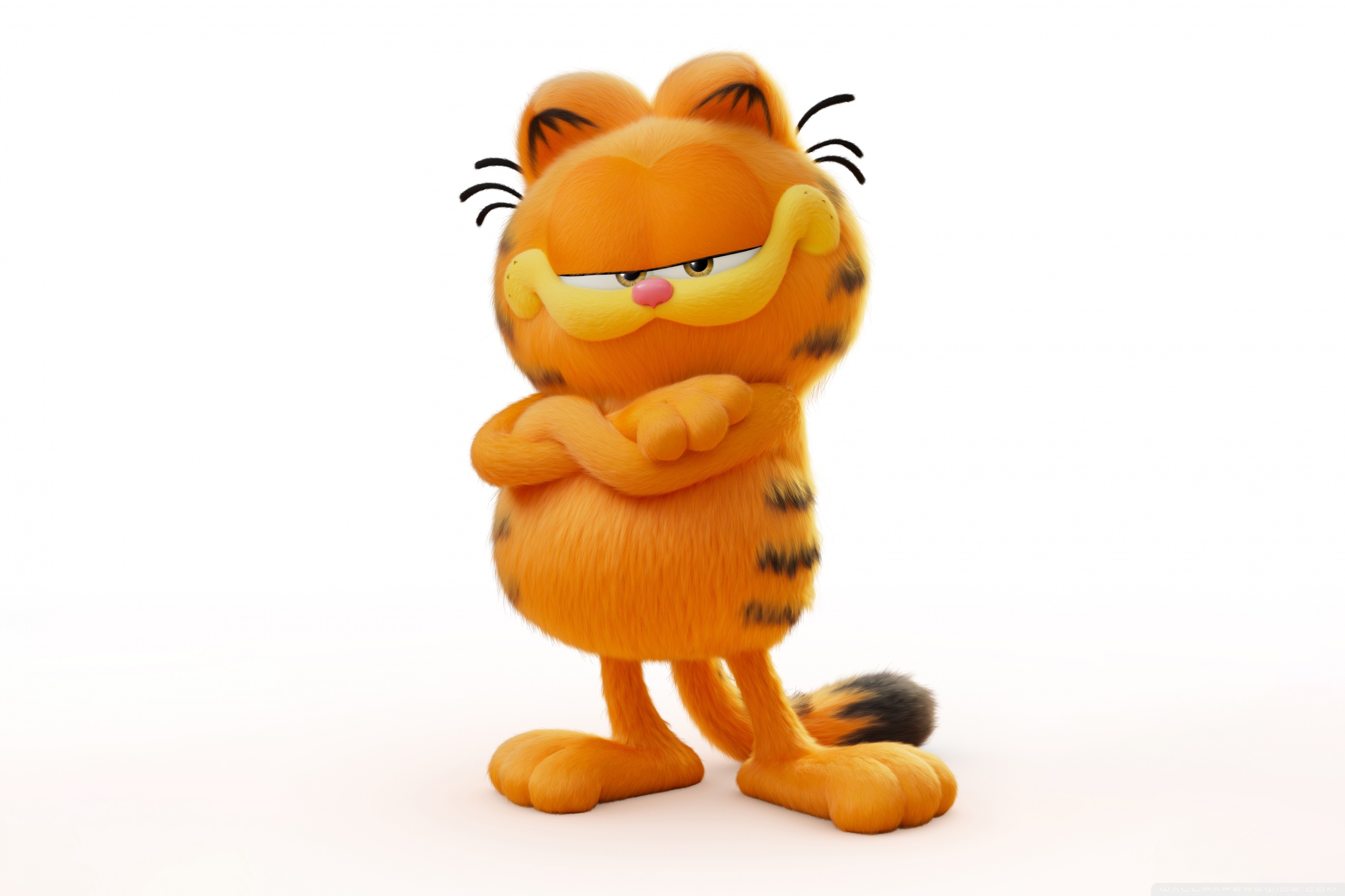 The Garfield Movie 2024 Movie Ultra HD
