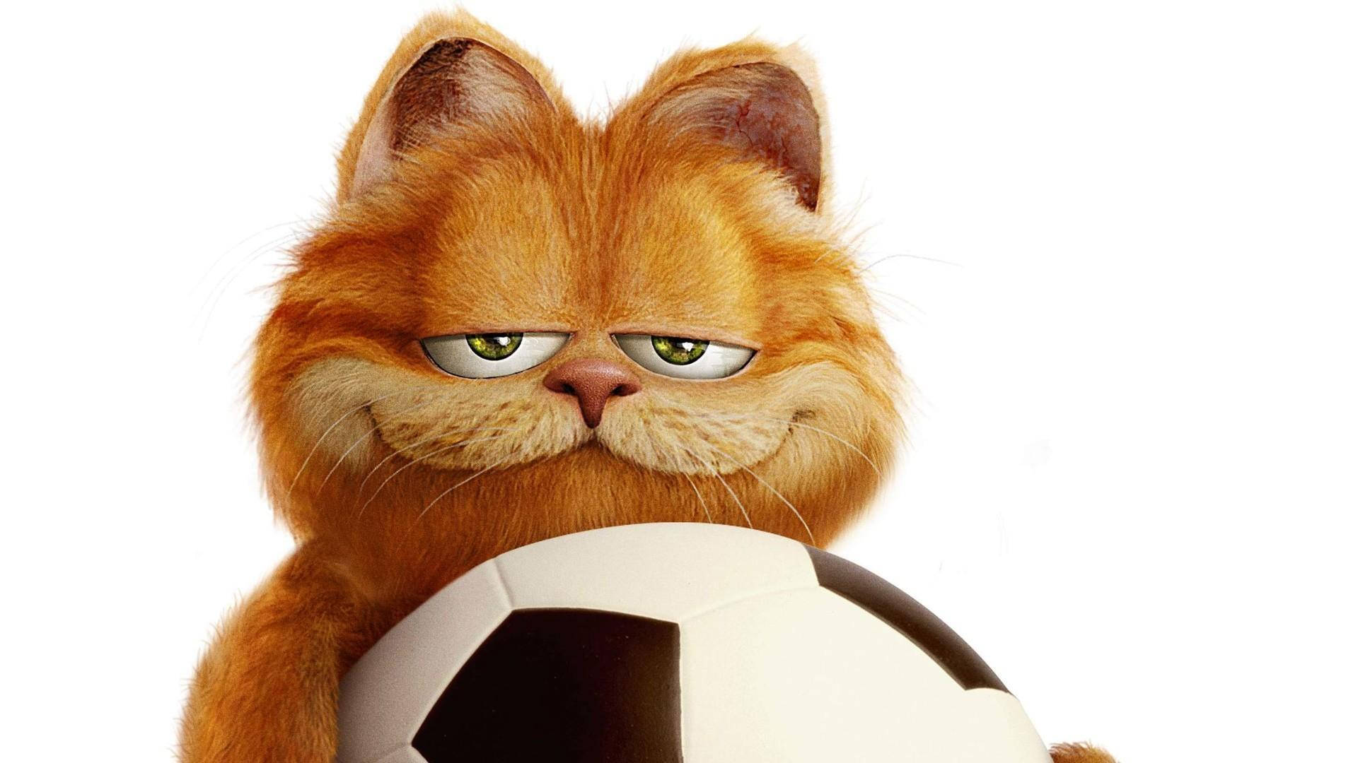 Free Garfield HD Wallpaper