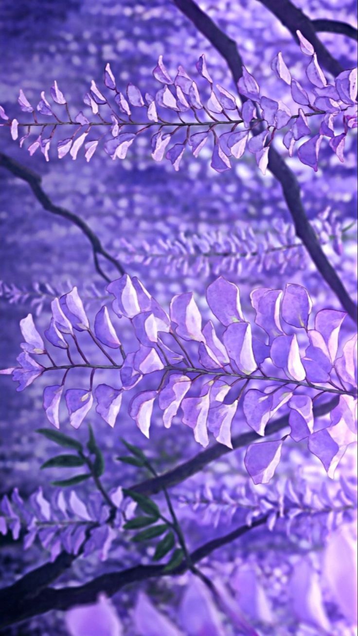 Wisteria demon slayer wallpaper