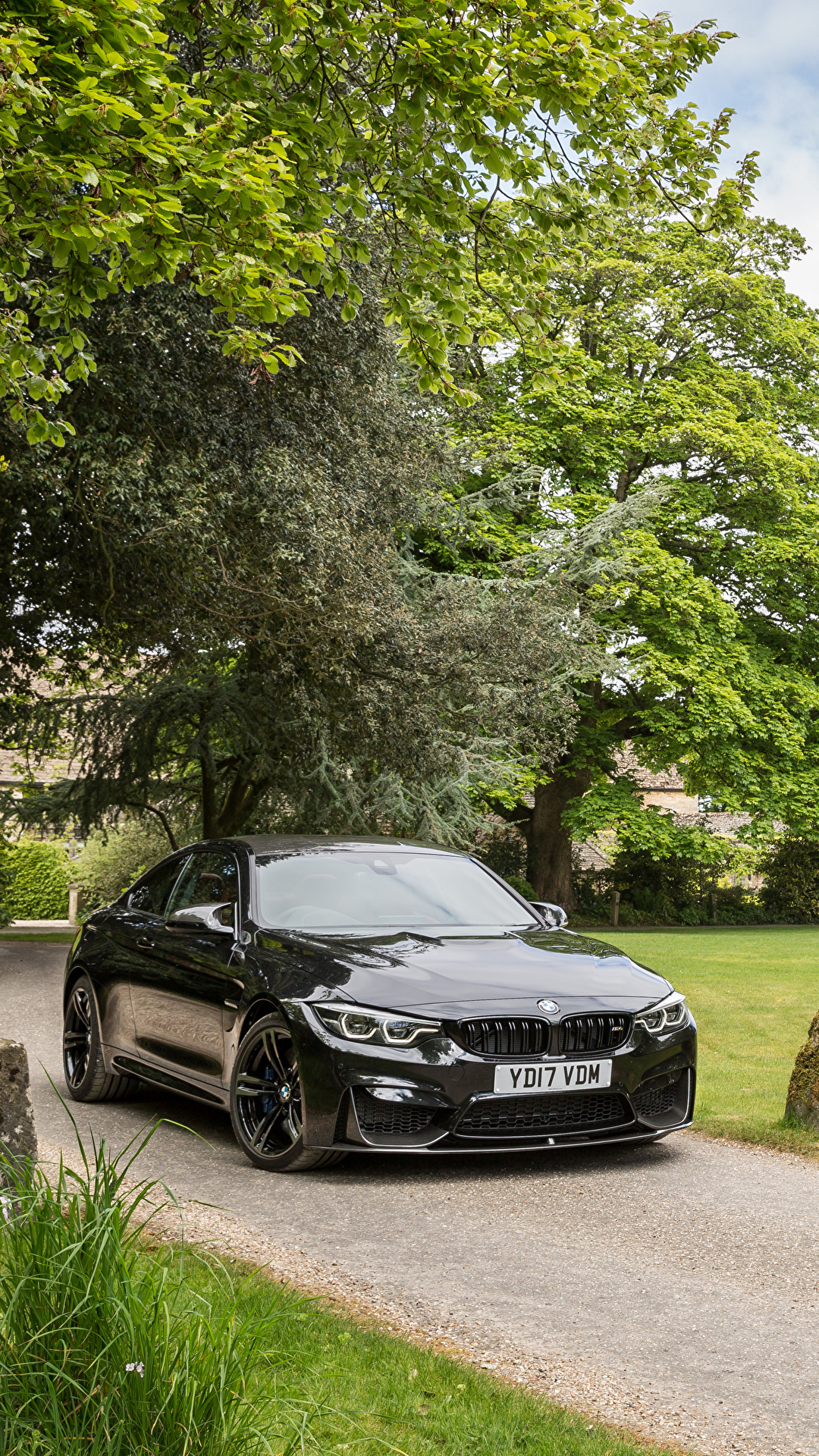 Photo BMW 2017 M4 Coupe Black Cars