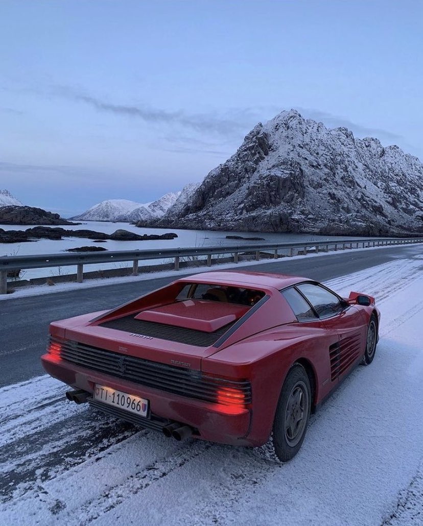 CRUSOE & SONS Testarossa