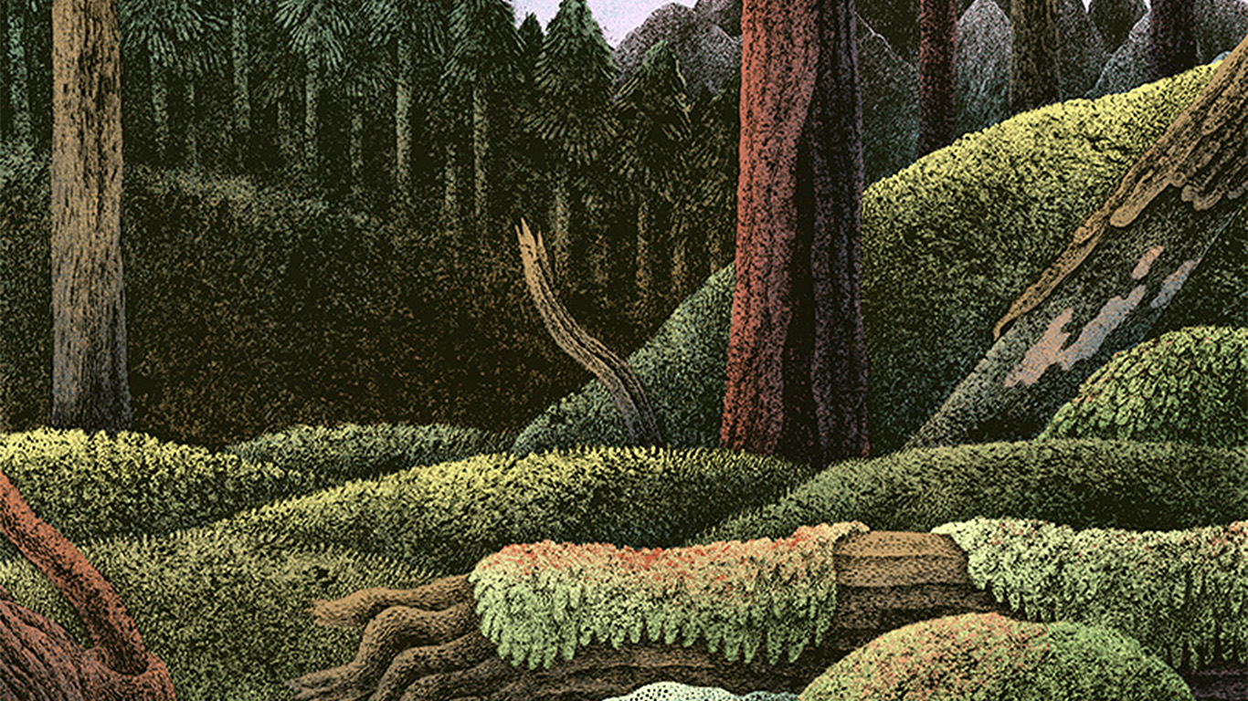 Wood Forest Paint Illustration Art