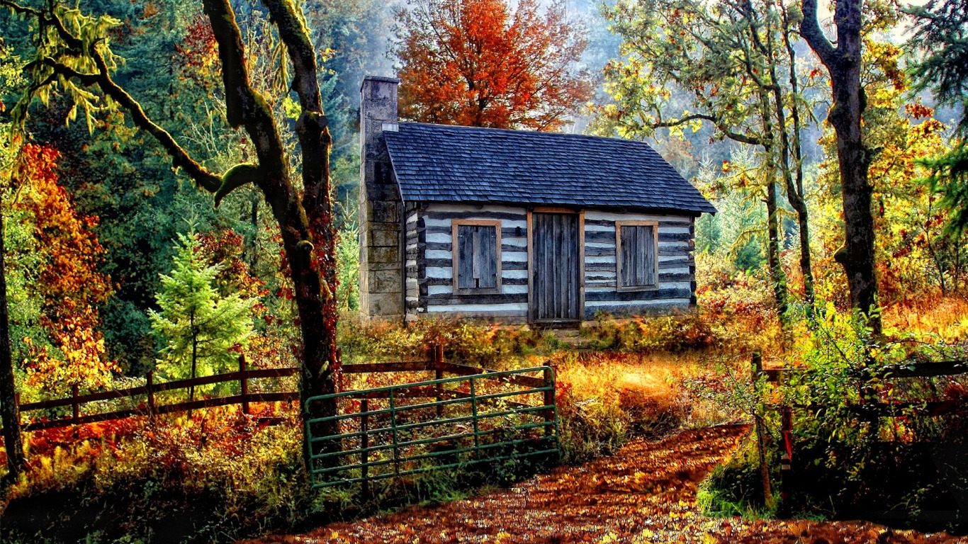 HD desktop wallpaper: Wood, Cabin, Man