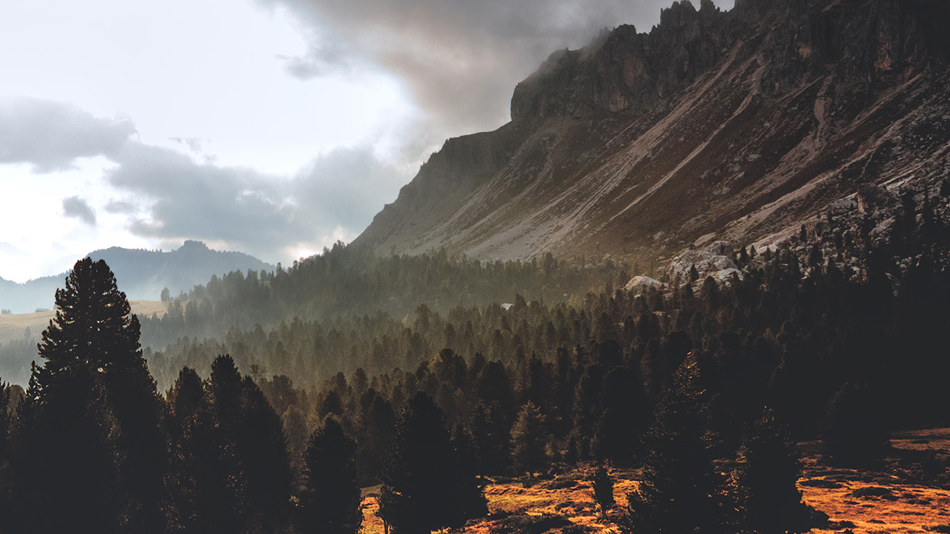 Nature Mountain Wood Tree