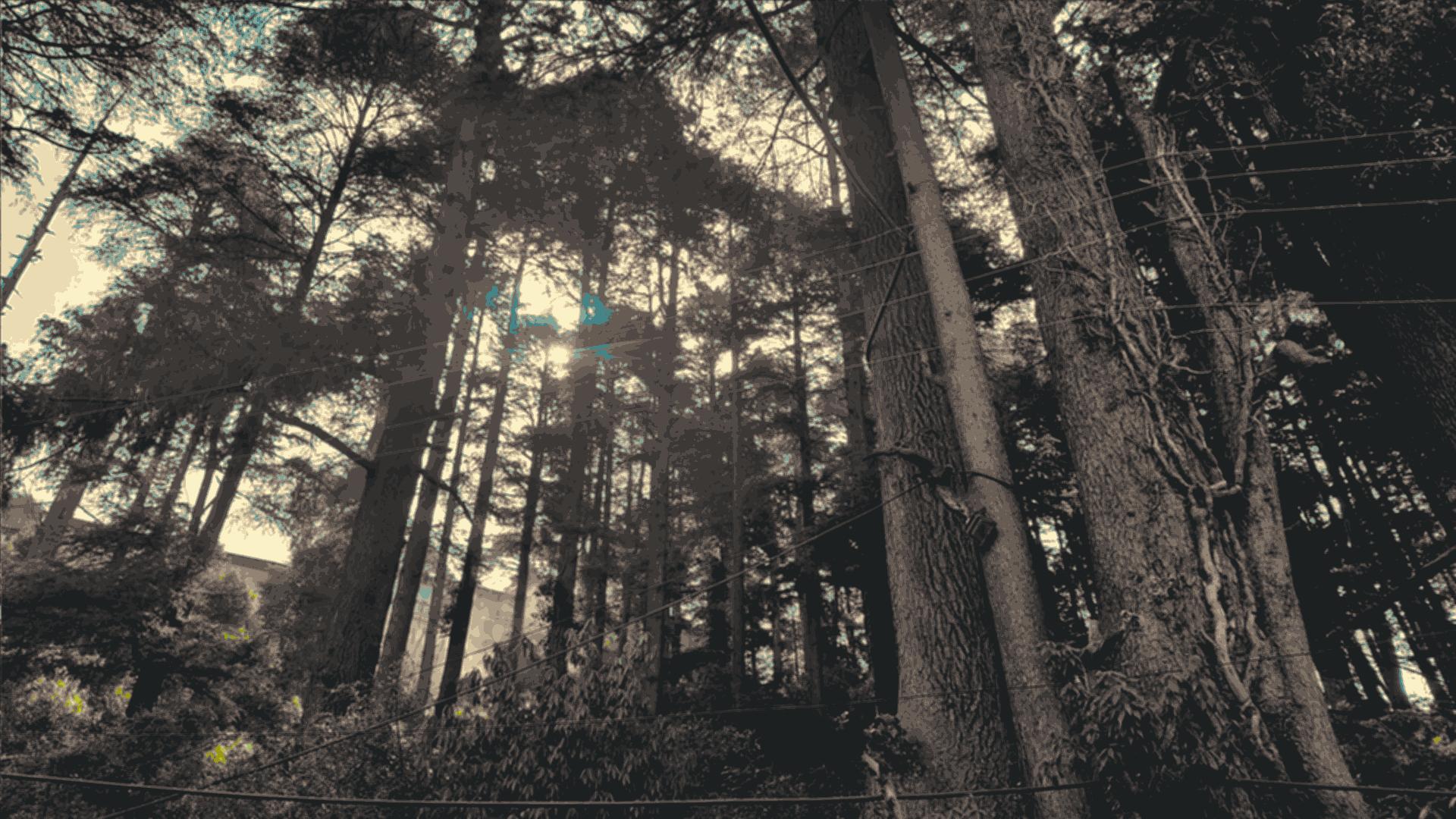 GRUVBOX] Wallpaper[1920x1080]