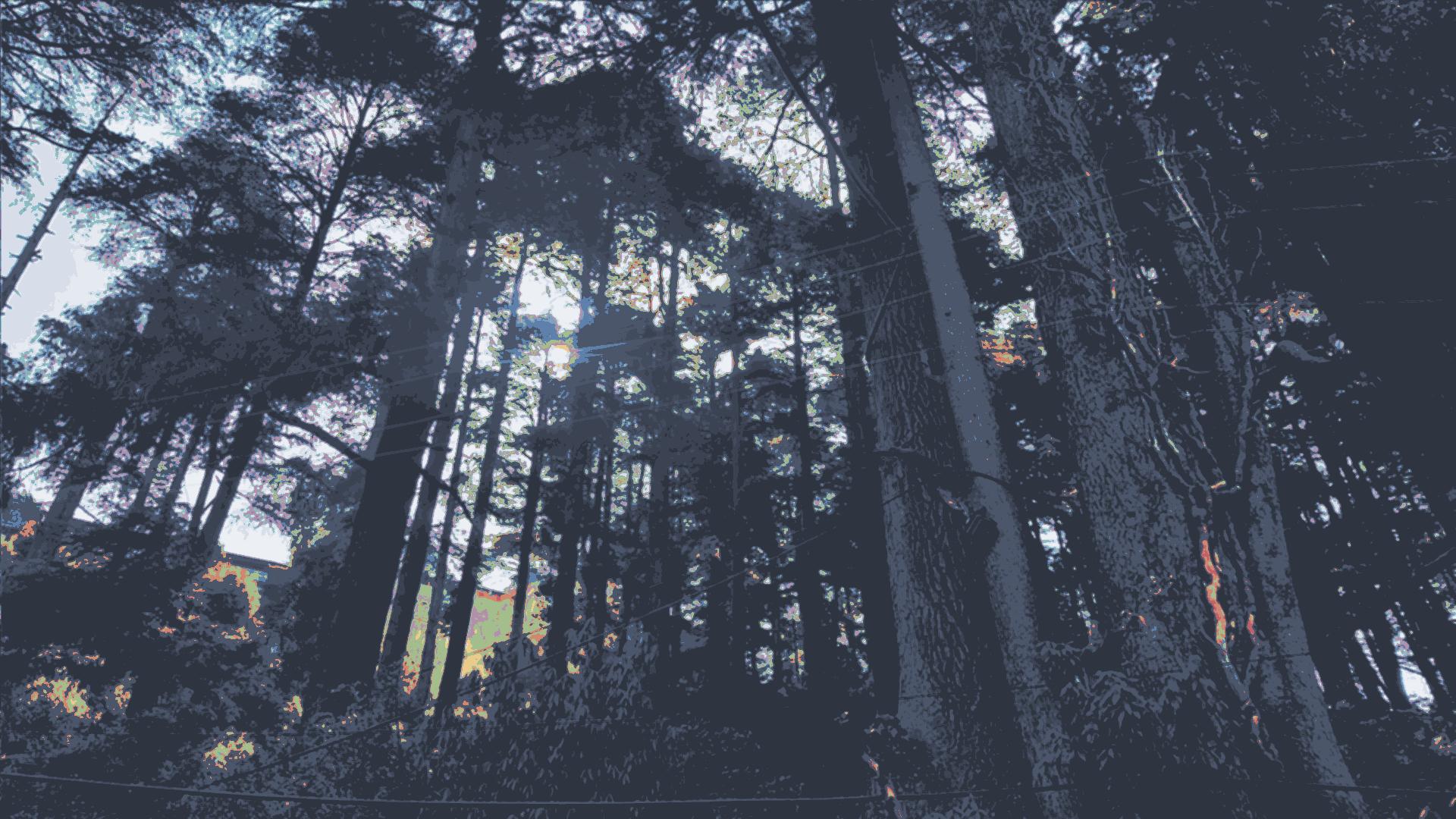 NORD] Wallpaper[1920x1080]