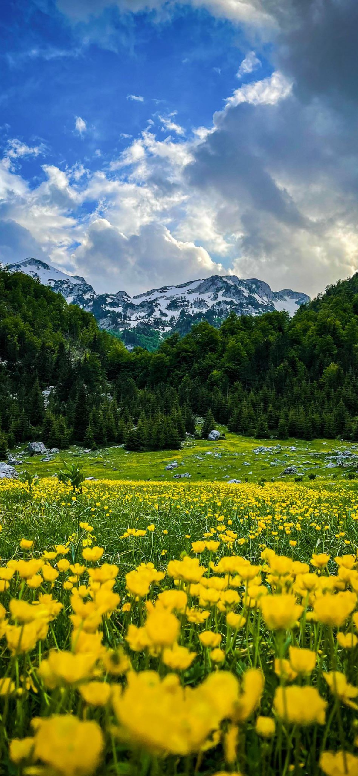 Best Nature iPhone Wallpaper