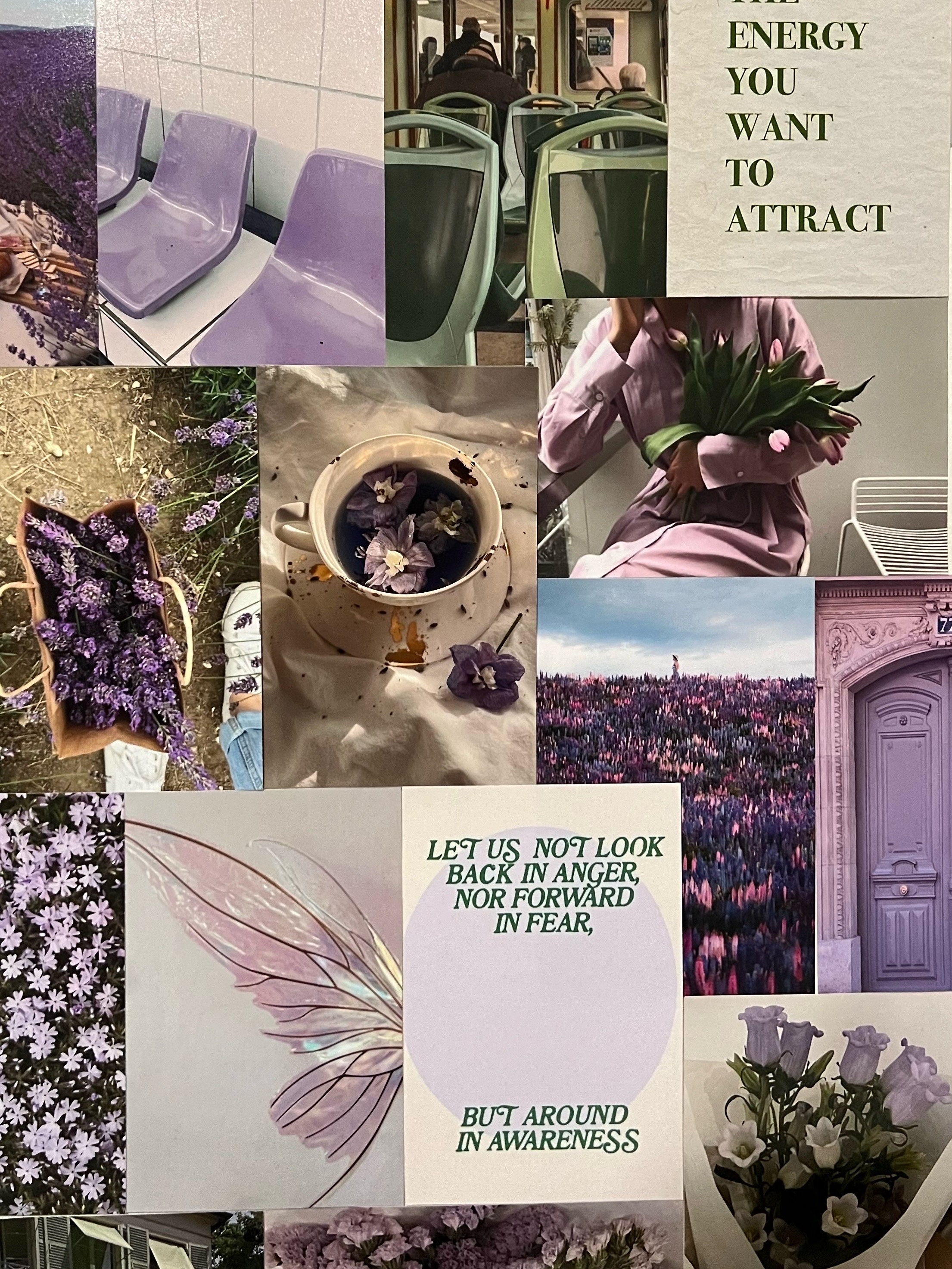Lavender Sage Photo Collage Kit 50 Pc
