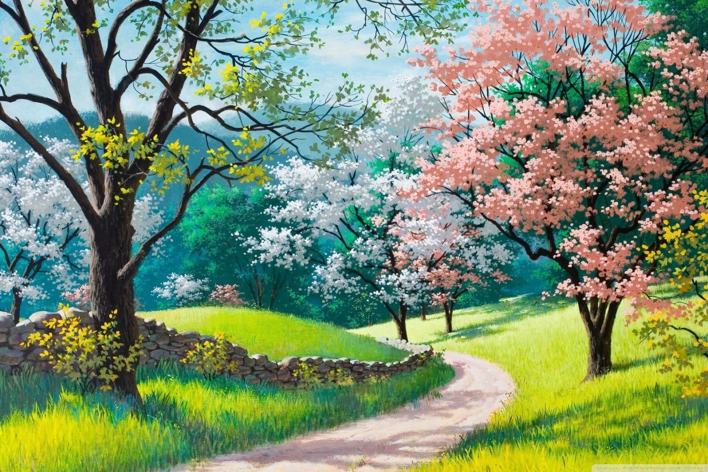 Desktop Background Wallpaper