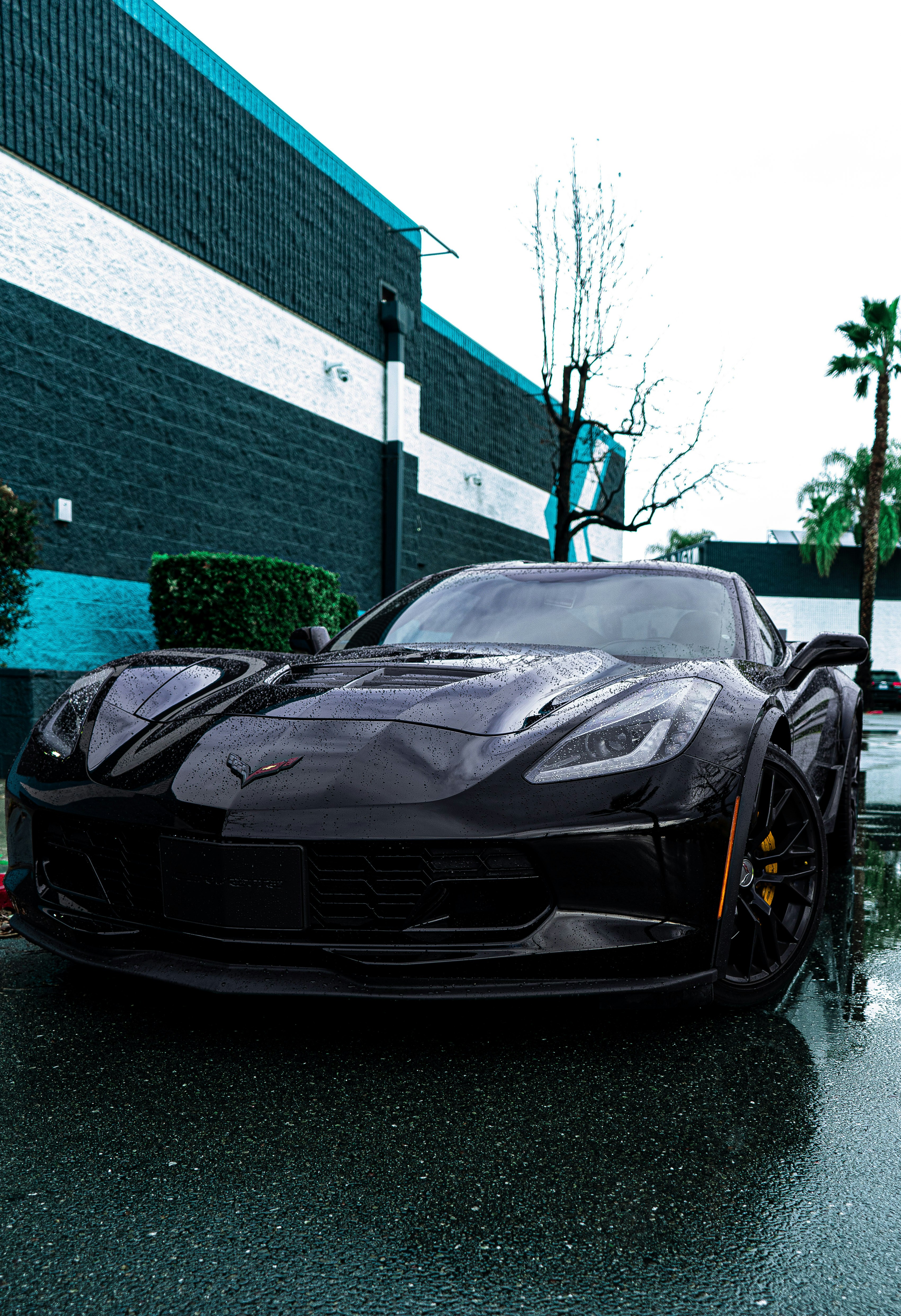 2025 Chevrolet Corvette SUV: Release