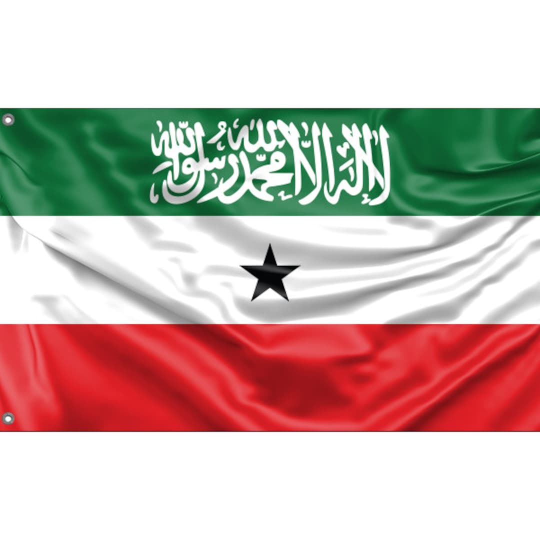 Somaliland Flag Unique Design Print