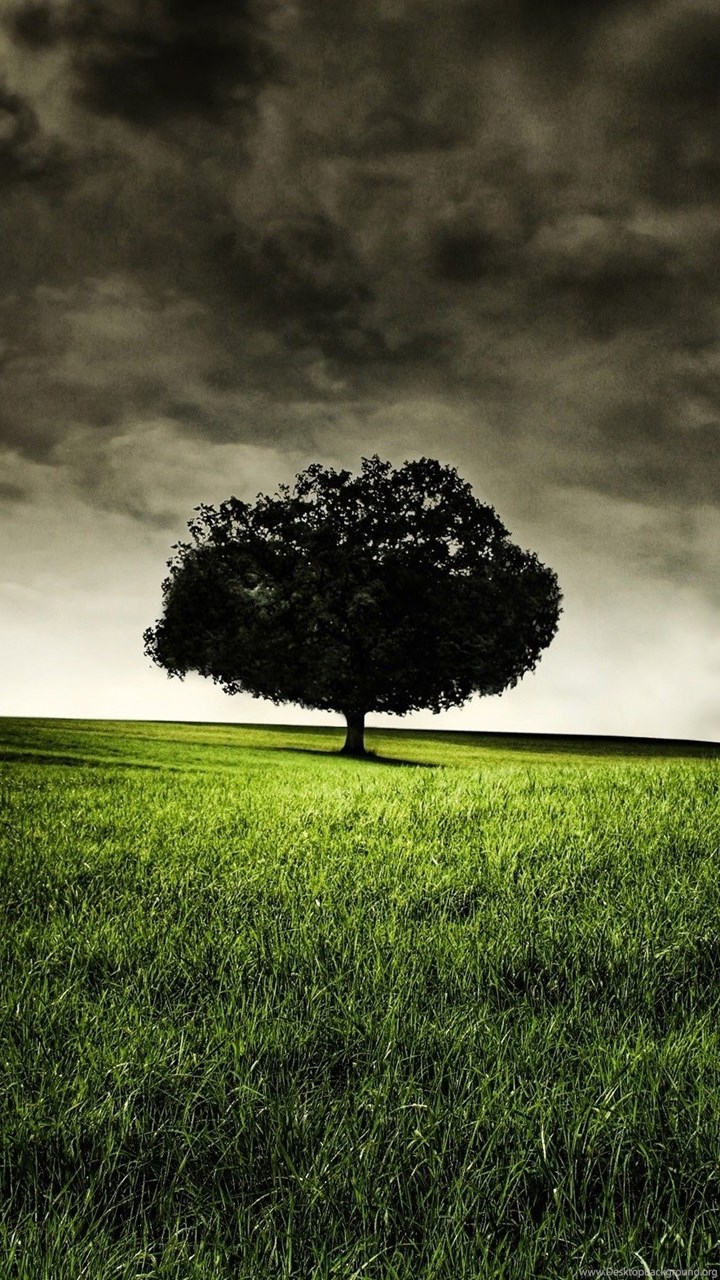 HD Wallpaper Kemecer.com
