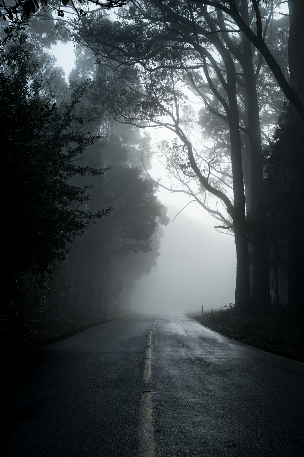 Nature Dark Picture. Download