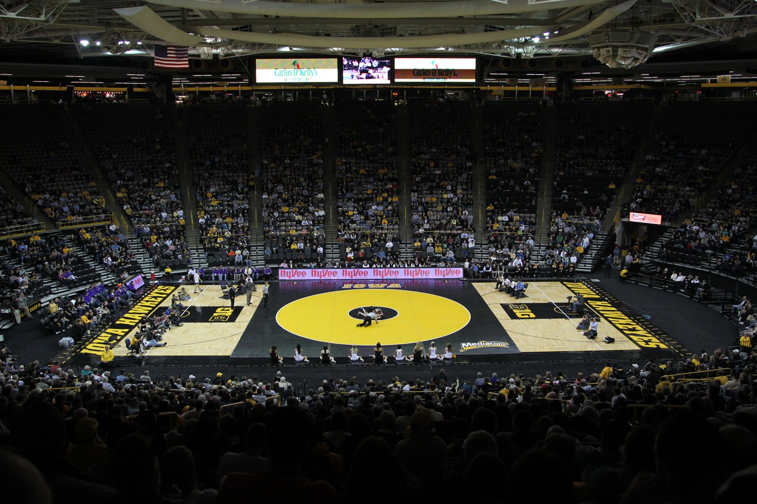 Iowa Hawkeyes Wrestling WallStar
