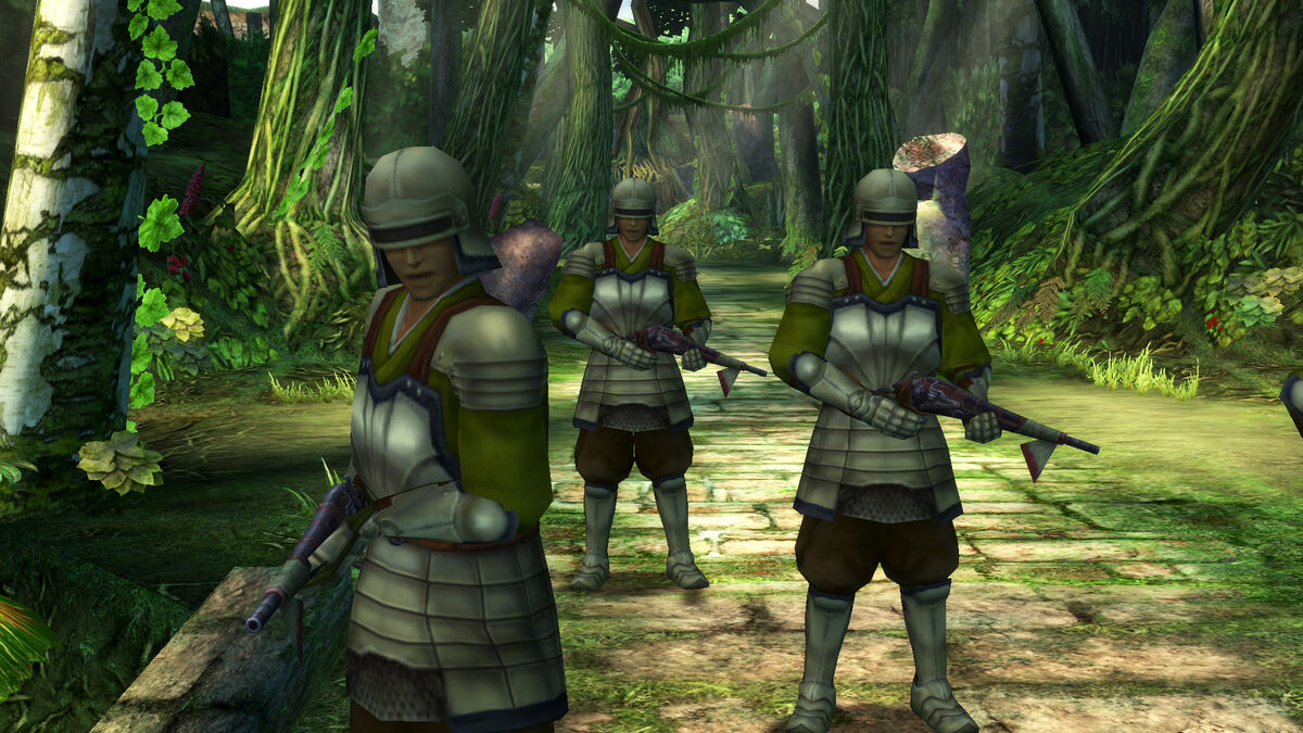 Warrior Monks