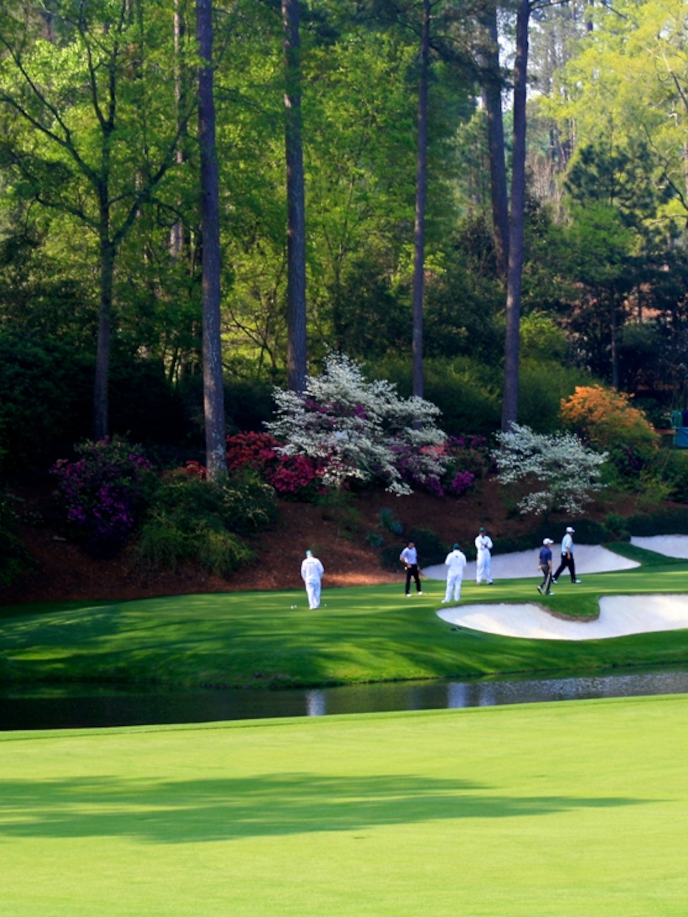 Picture: Golf Masters Green—Ten